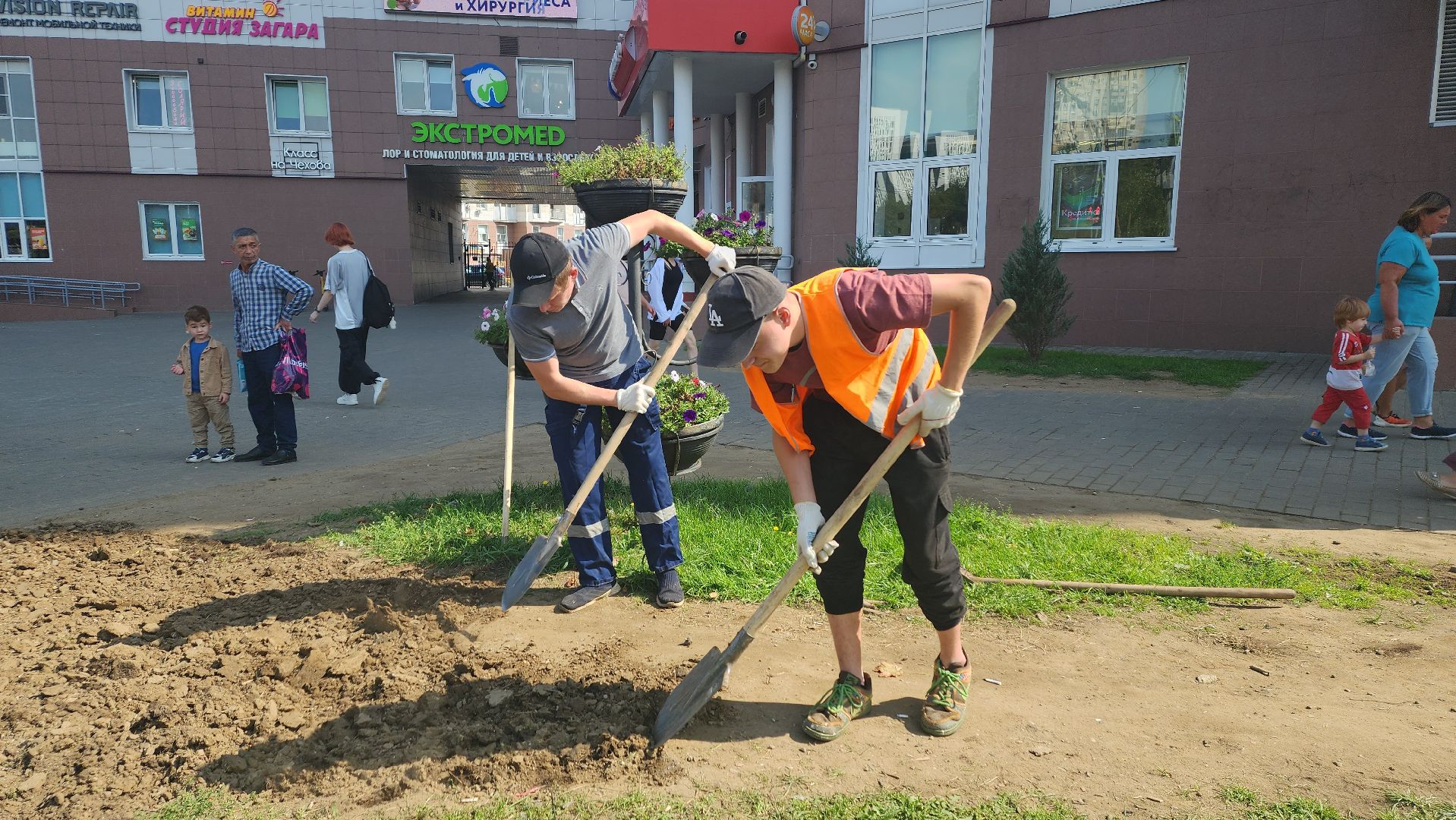 пушкино, газон, благоустройство, трава, семена, коммунальная служба,
