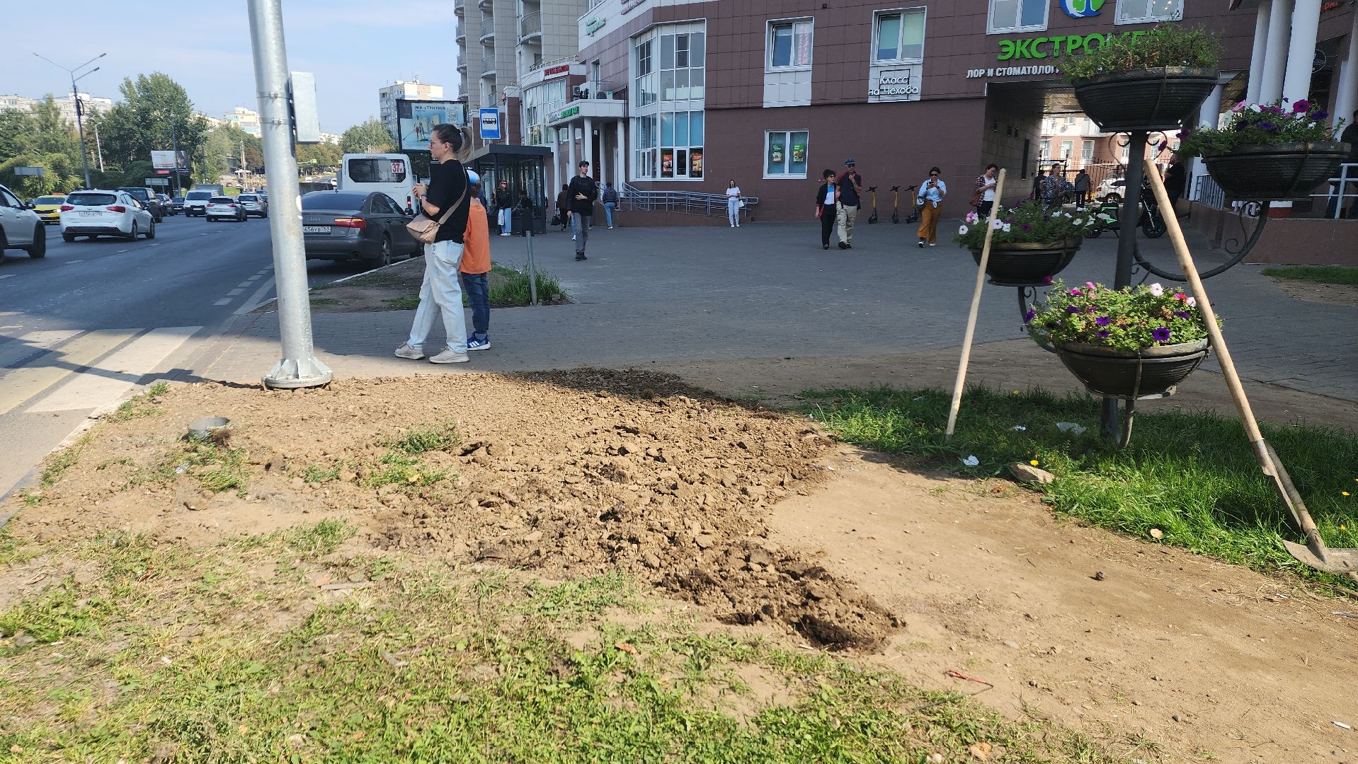 пушкино, газон, благоустройство, трава, семена, коммунальная служба,