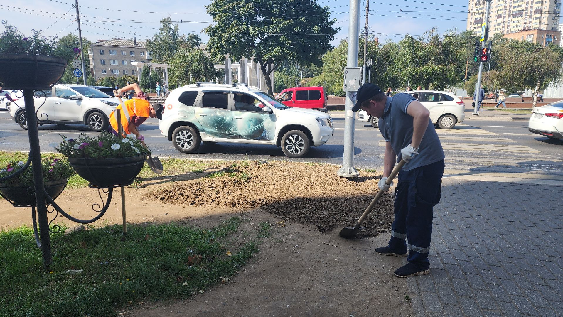 пушкино, газон, благоустройство, трава, семена, коммунальная служба,