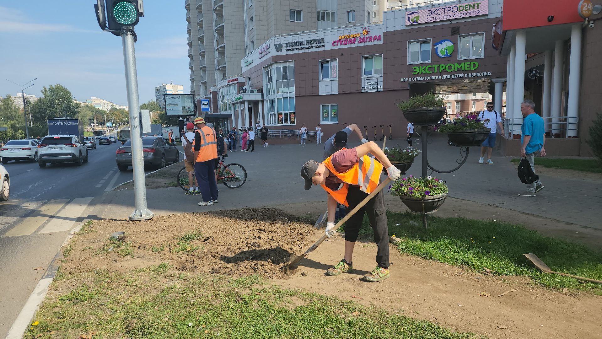 пушкино, газон, благоустройство, трава, семена, коммунальная служба,