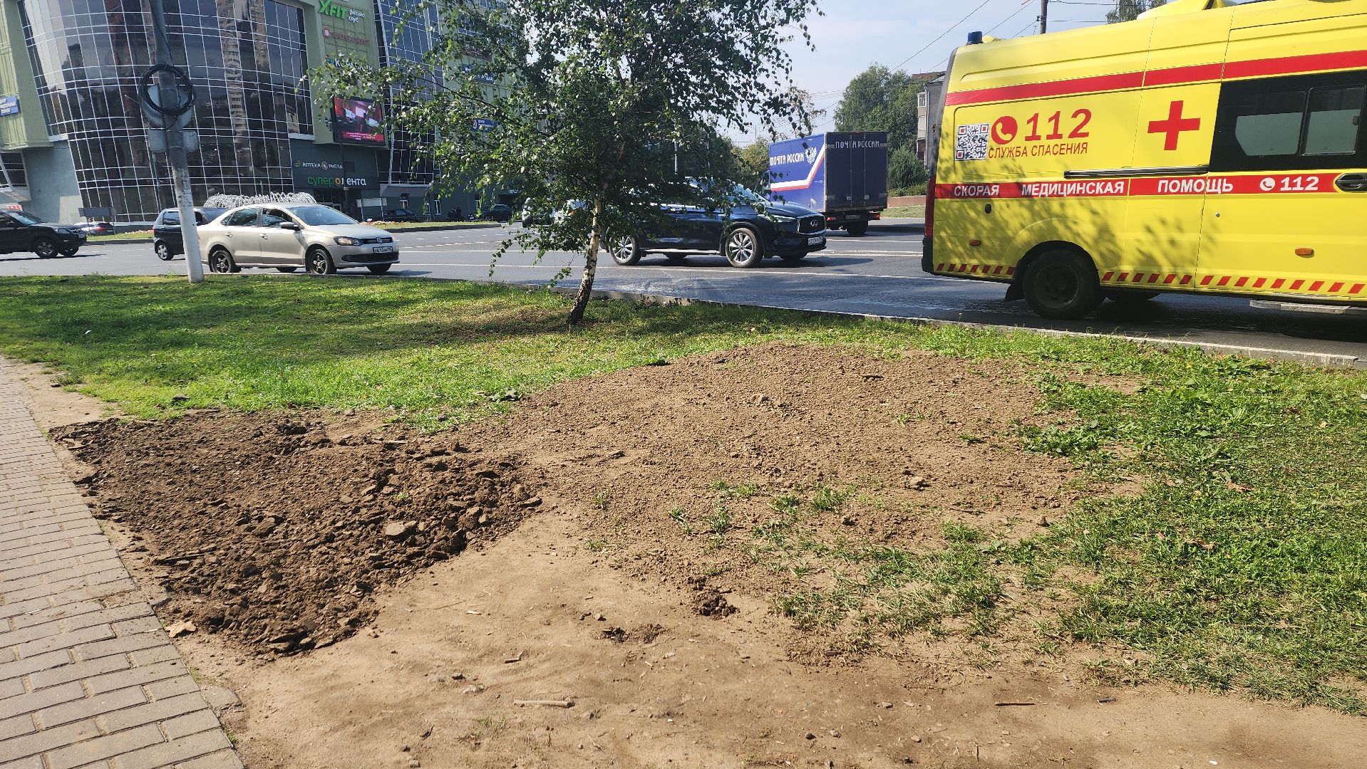 пушкино, газон, благоустройство, трава, семена, коммунальная служба,