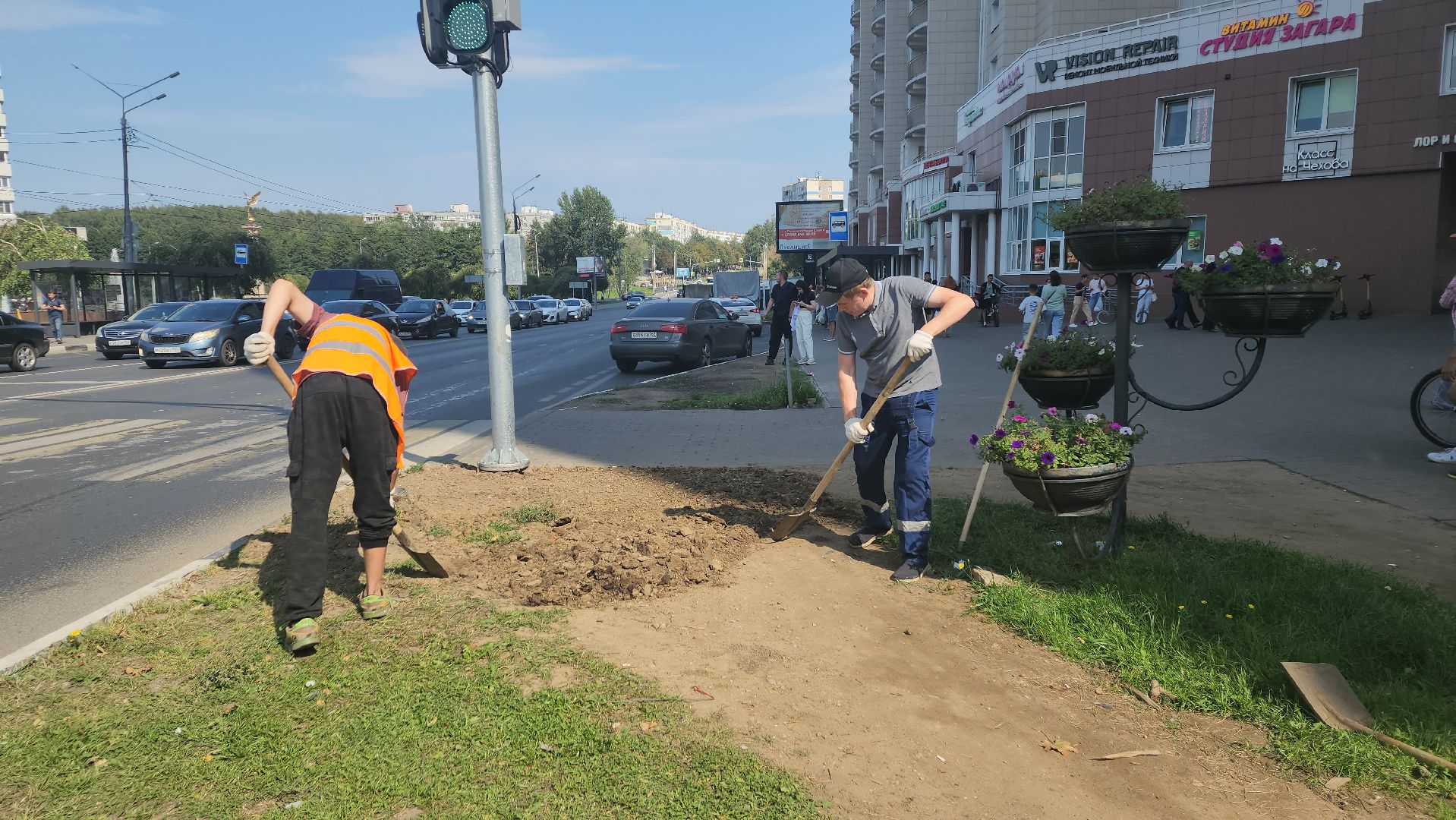 пушкино, газон, благоустройство, трава, семена, коммунальная служба,