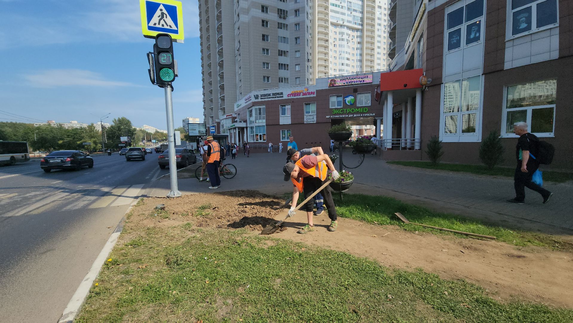 пушкино, газон, благоустройство, трава, семена, коммунальная служба,