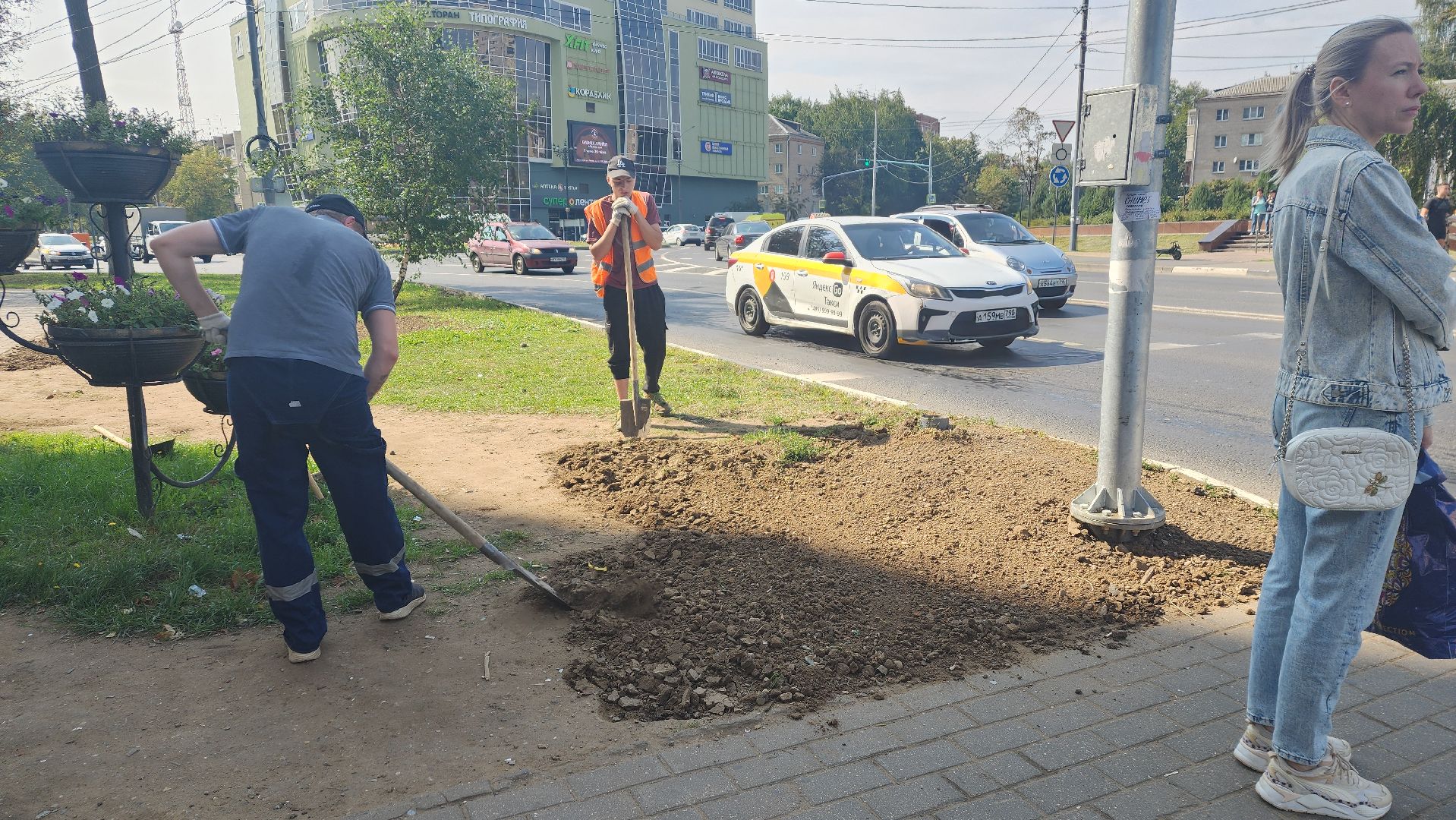 пушкино, газон, благоустройство, трава, семена, коммунальная служба,