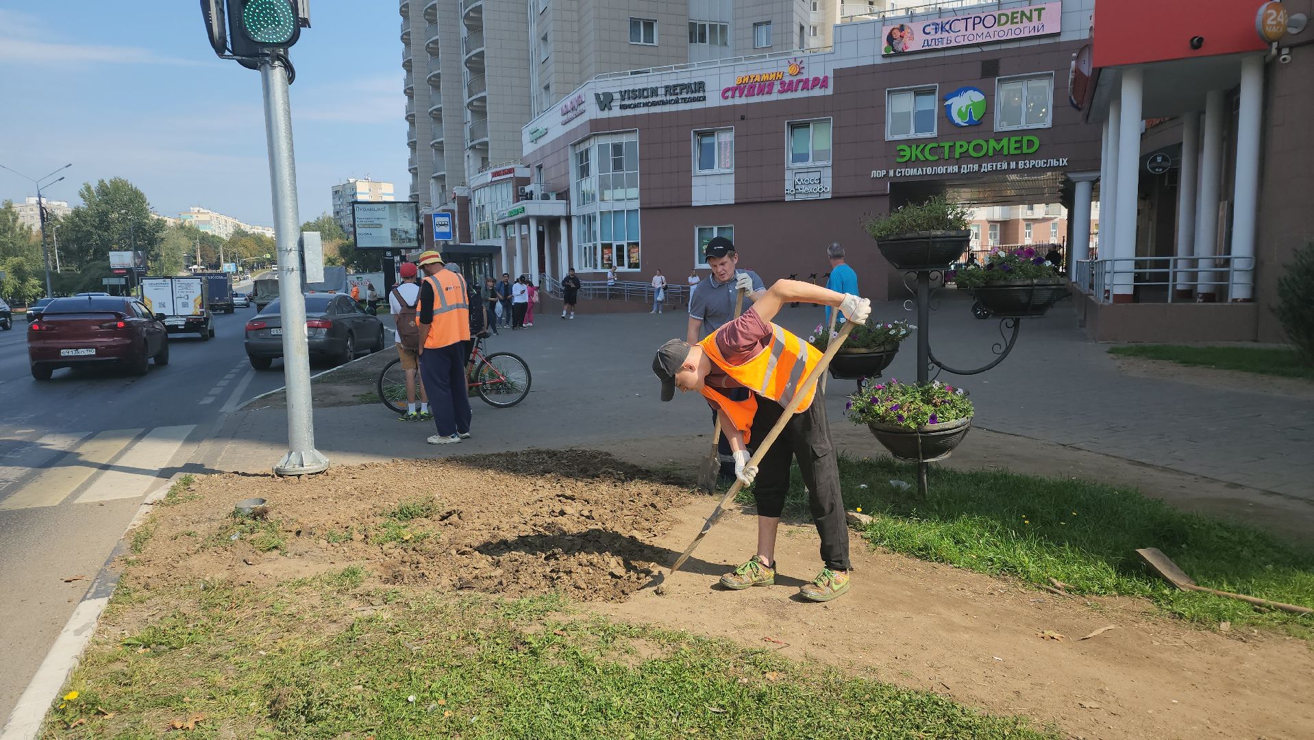 пушкино, газон, благоустройство, трава, семена, коммунальная служба,