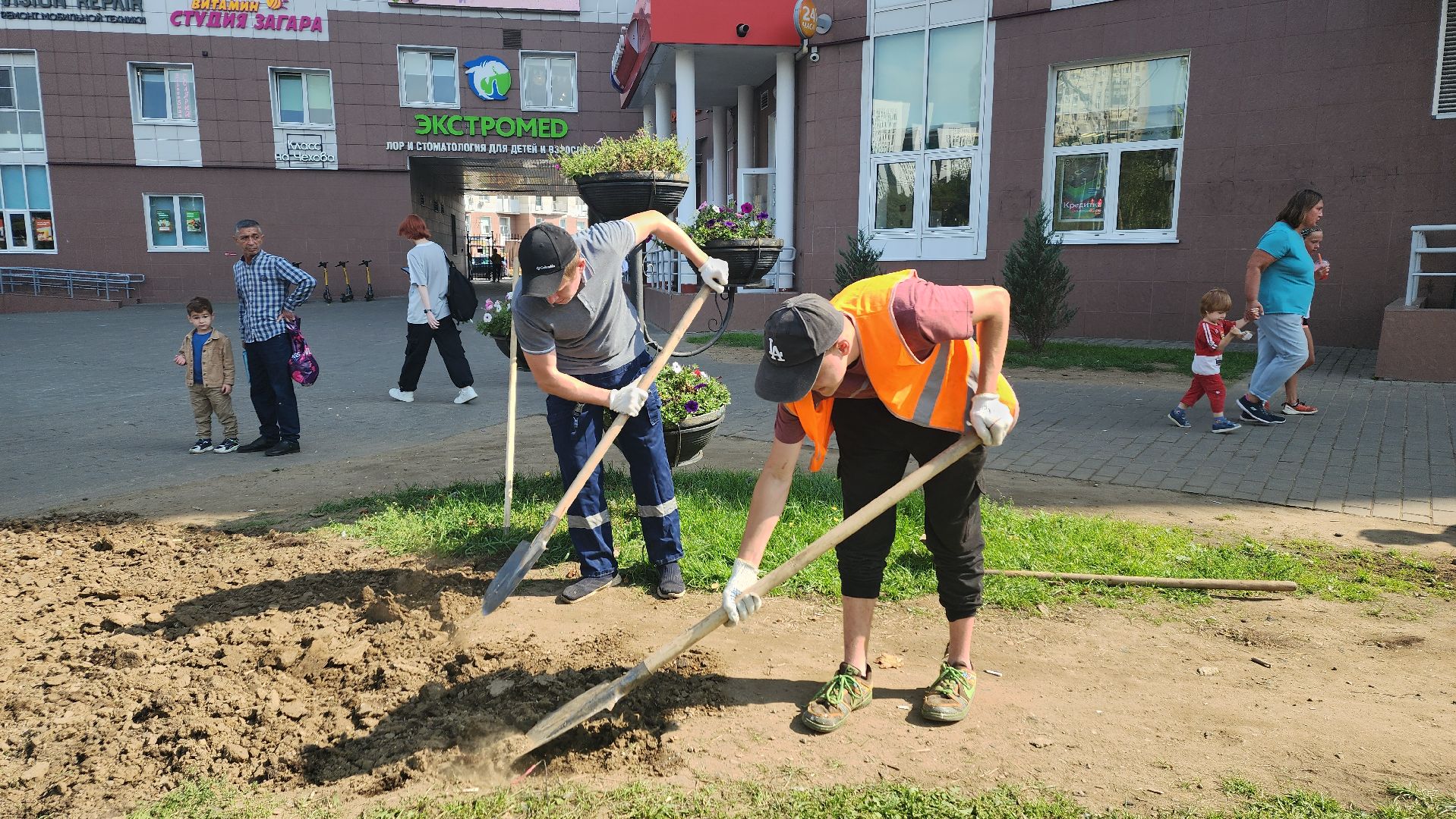 пушкино, газон, благоустройство, трава, семена, коммунальная служба,