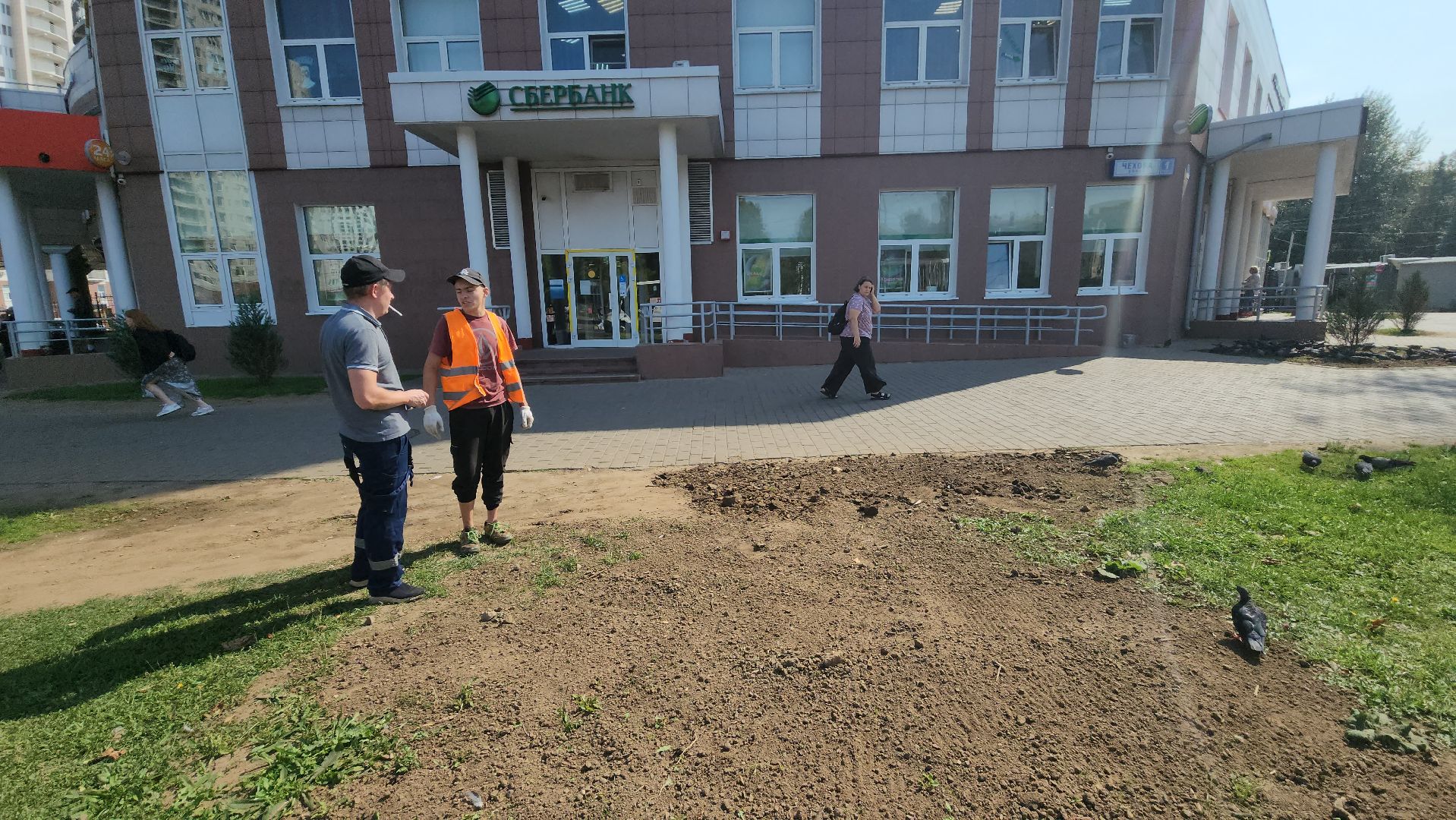 пушкино, газон, благоустройство, трава, семена, коммунальная служба,