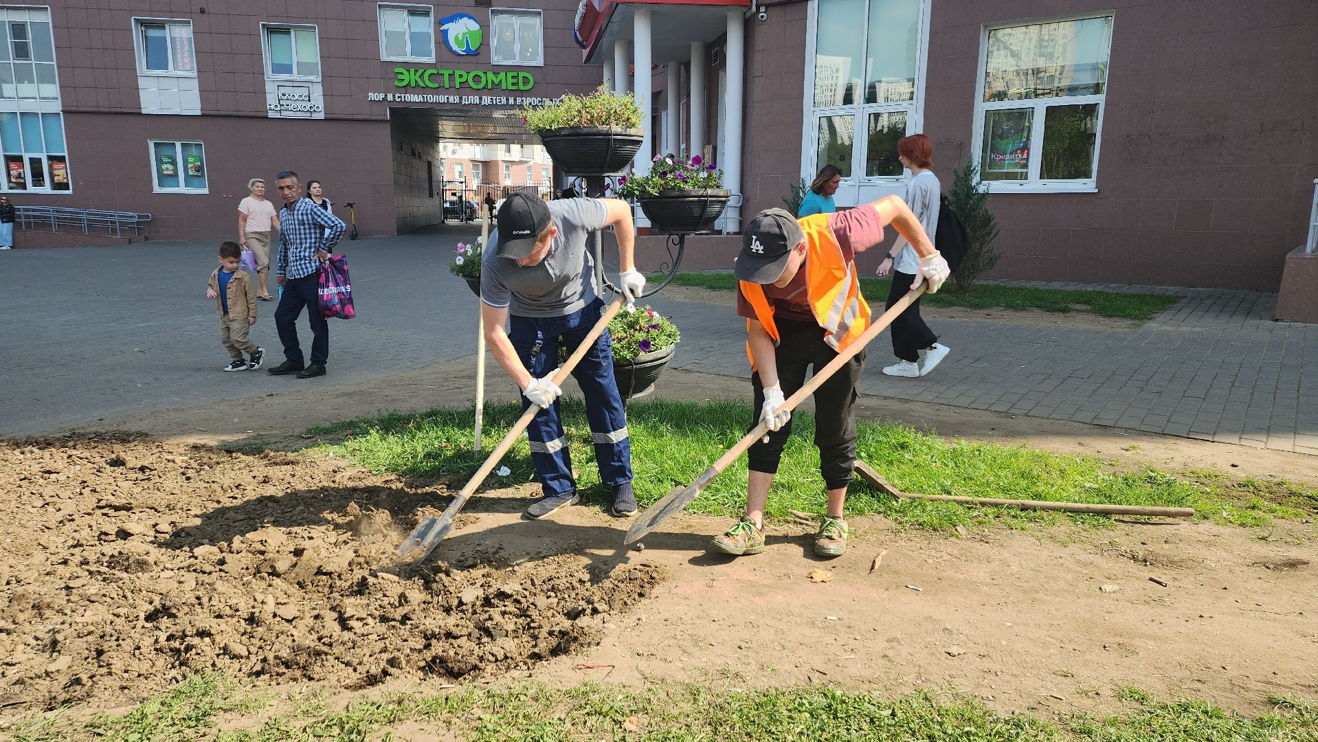 пушкино, газон, благоустройство, трава, семена, коммунальная служба,