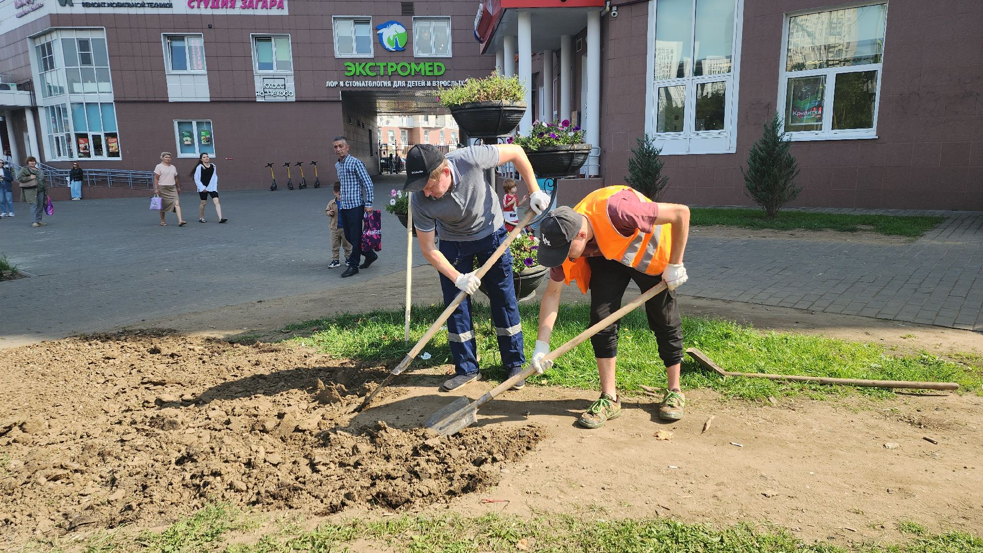 пушкино, газон, благоустройство, трава, семена, коммунальная служба,