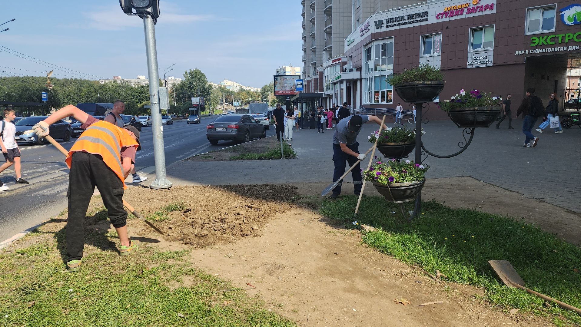 пушкино, газон, благоустройство, трава, семена, коммунальная служба,