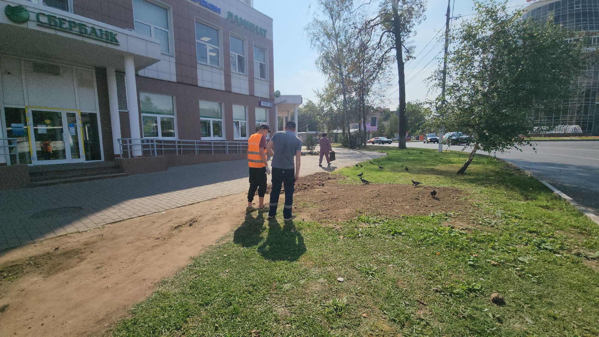 пушкино, газон, благоустройство, трава, семена, коммунальная служба,