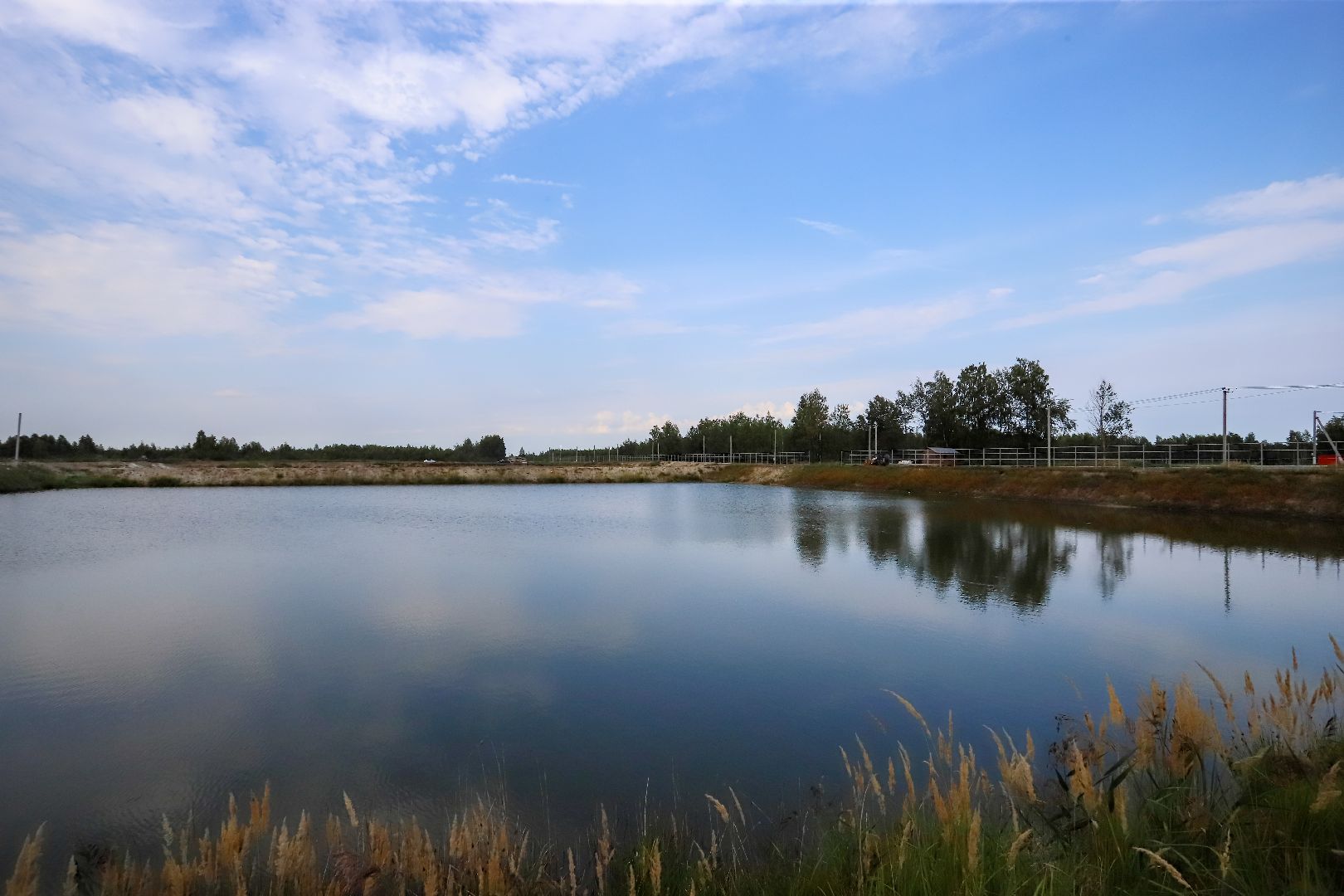 Шатура, Долгуша, рыбоводческое хозяйство, КФХ,