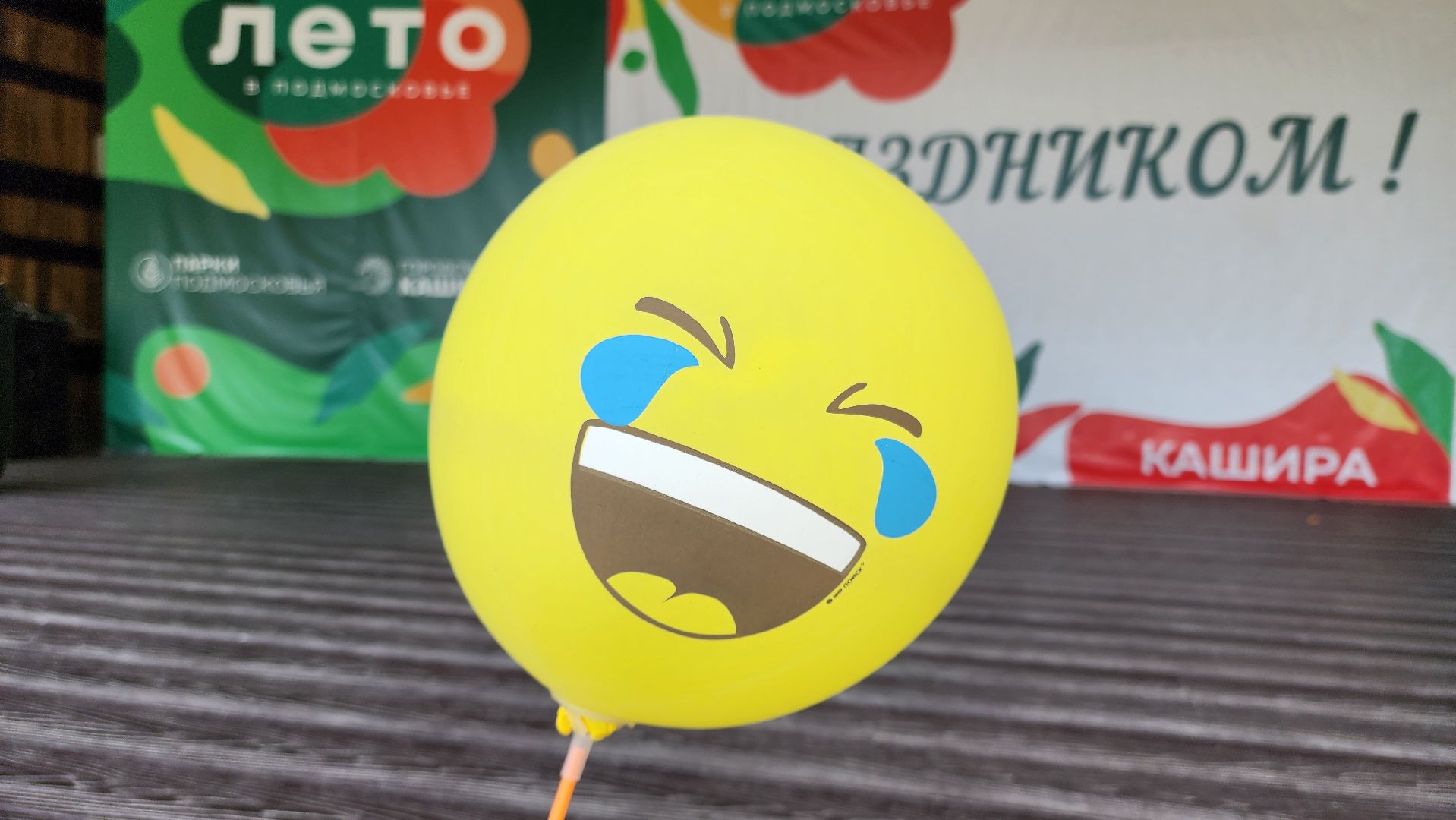 кашира, парк, фестиваль йоги, ярмарка,