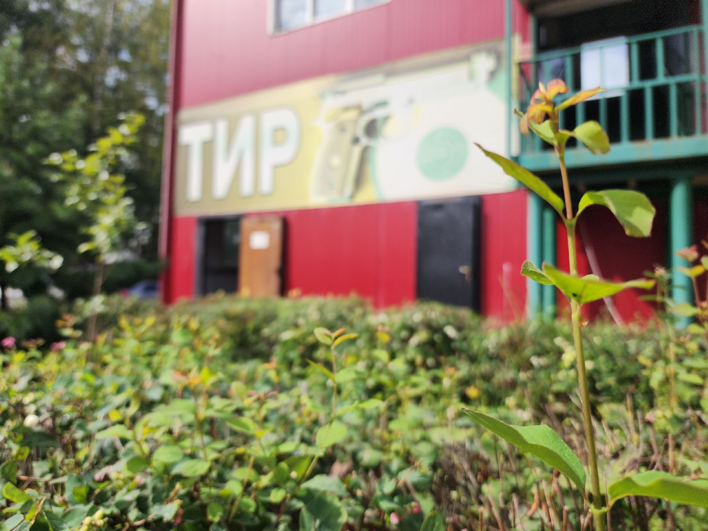 спорт, журналиада, журналисты, журналисты подмосковья, журналисты Электростали, спортивный праздник, электросталь, соревнования, состязания, министерство спорта московской области,