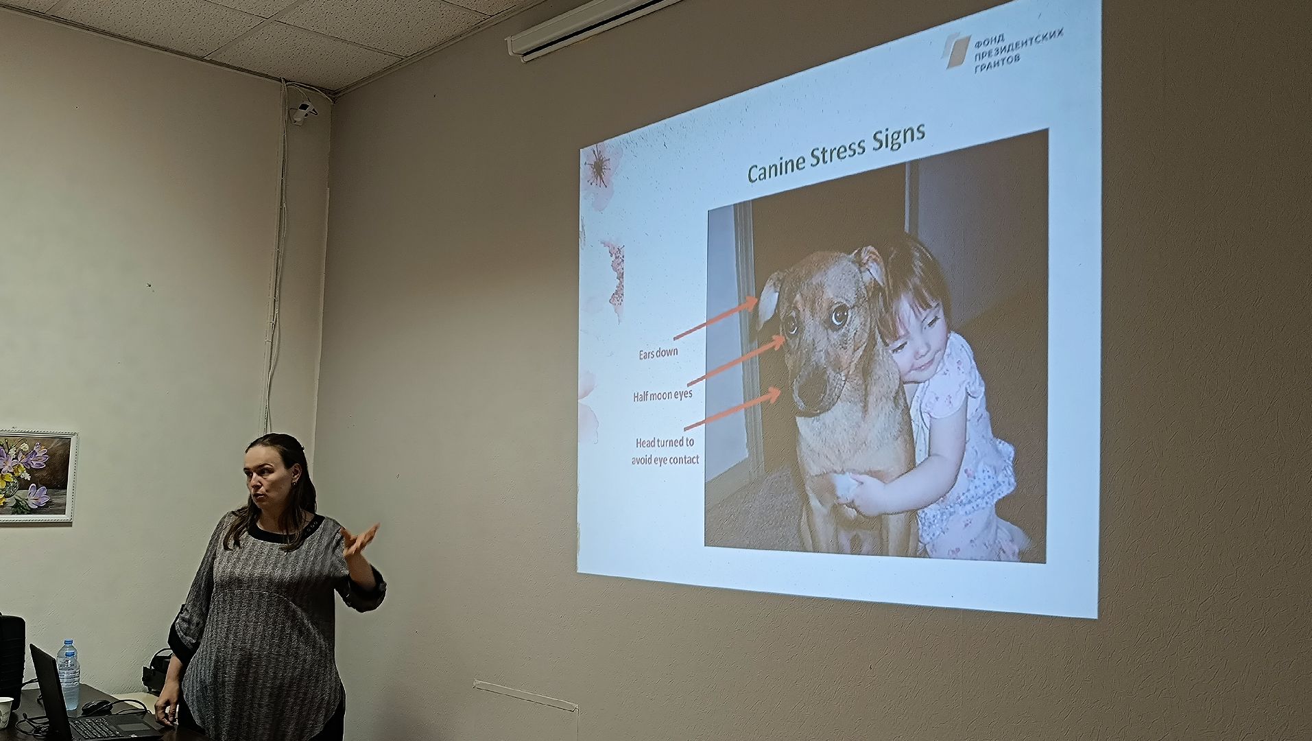 собака, лекция, библиотека,