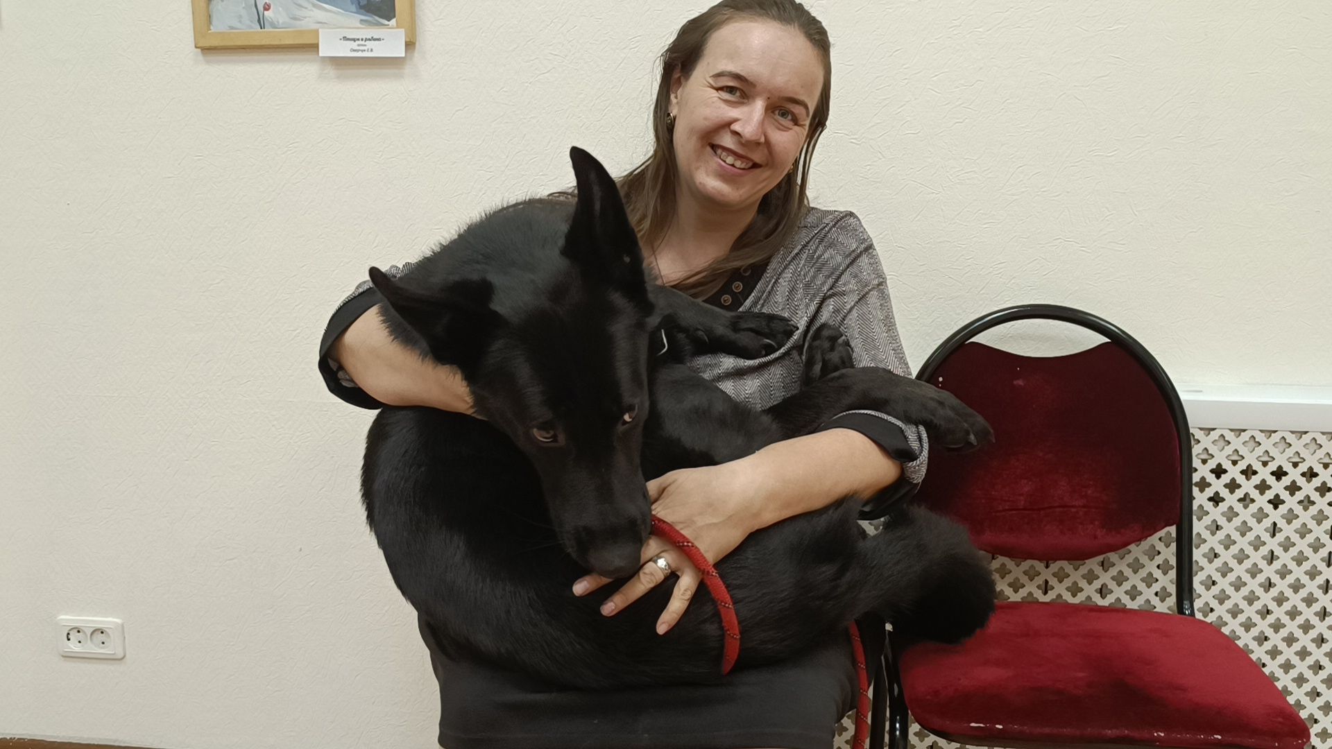 собака, лекция, библиотека,