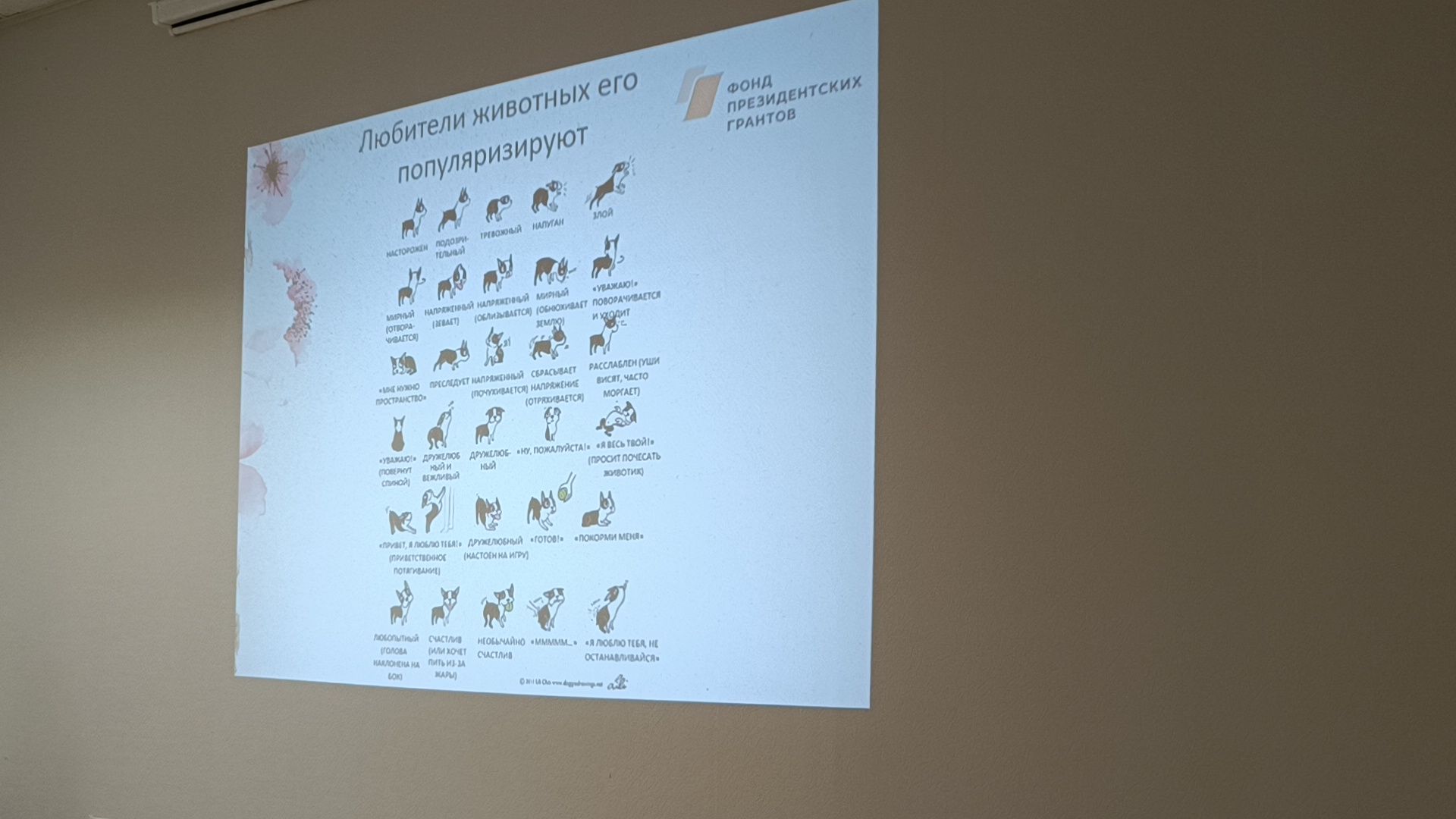 собака, лекция, библиотека,