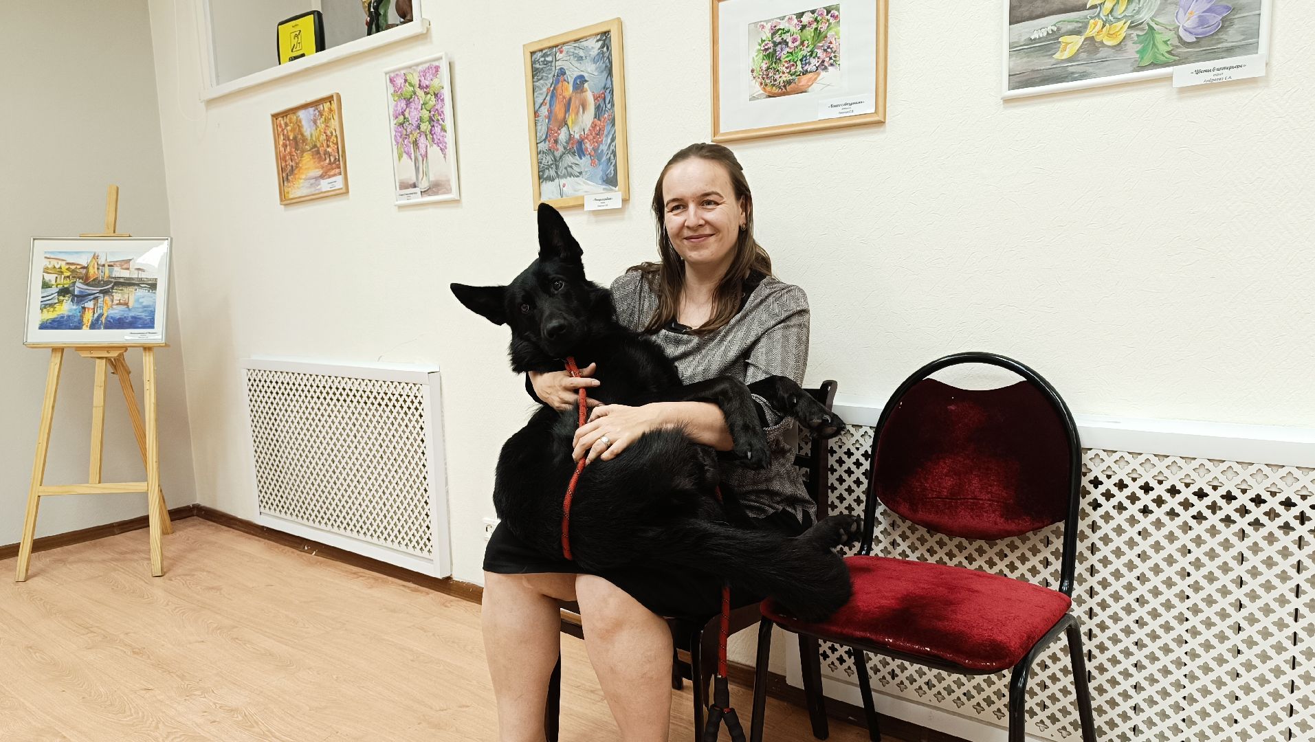 собака, лекция, библиотека,