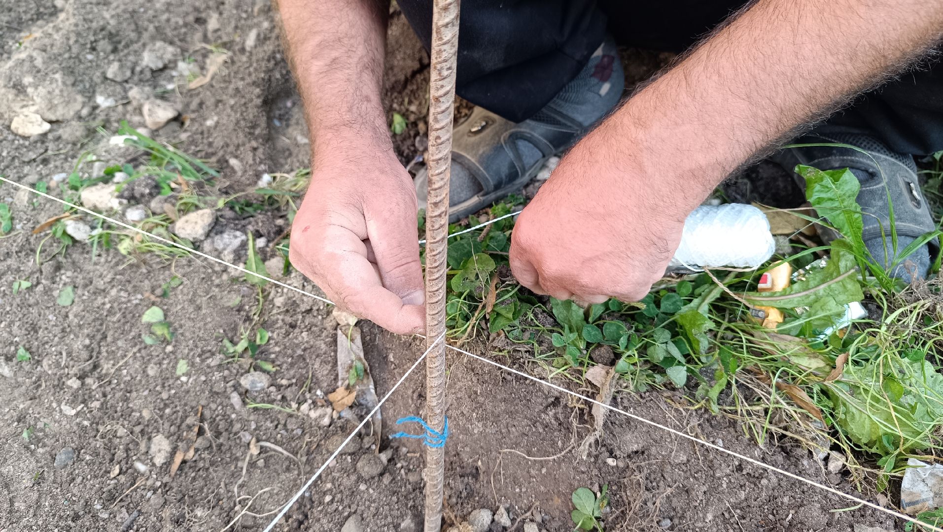 детская площадка, лобня, программа губернатора,