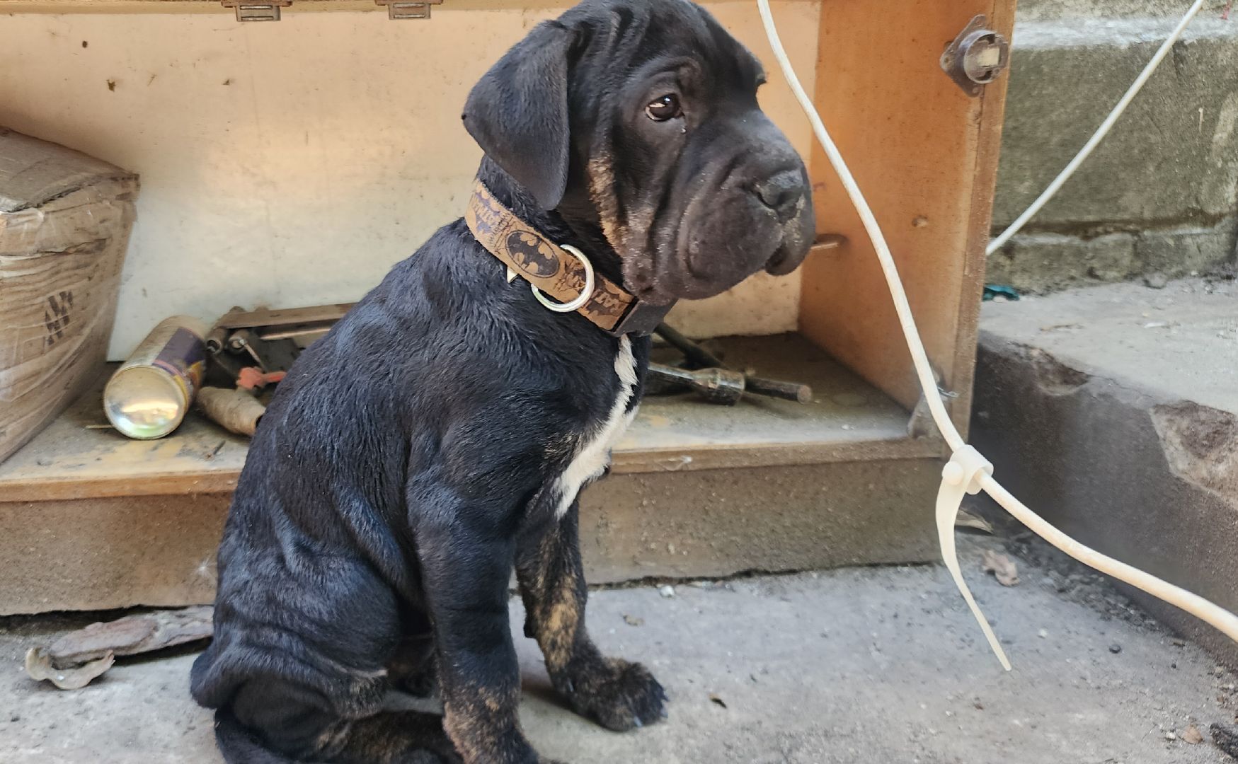 Звенигород, Люберцы, СВО, Поддержка участников СВО,