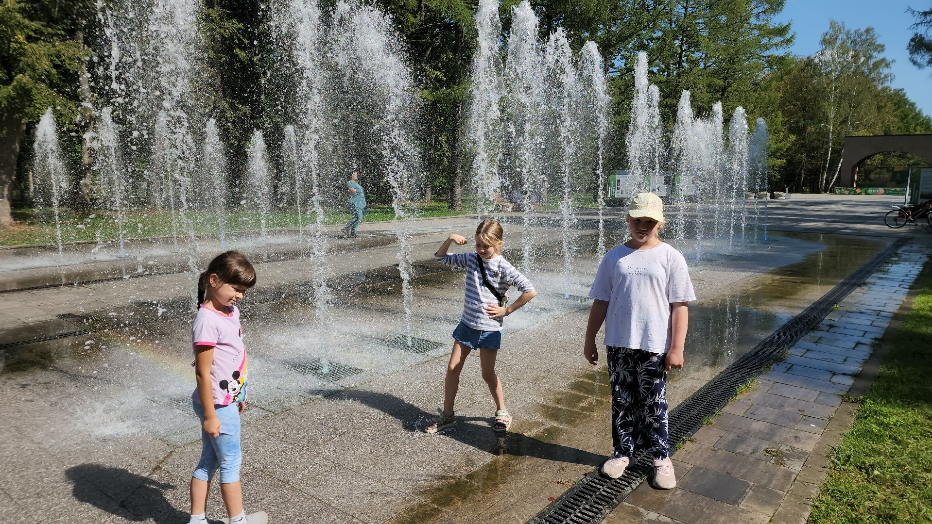 ступино, лето в подмосковье, образование,