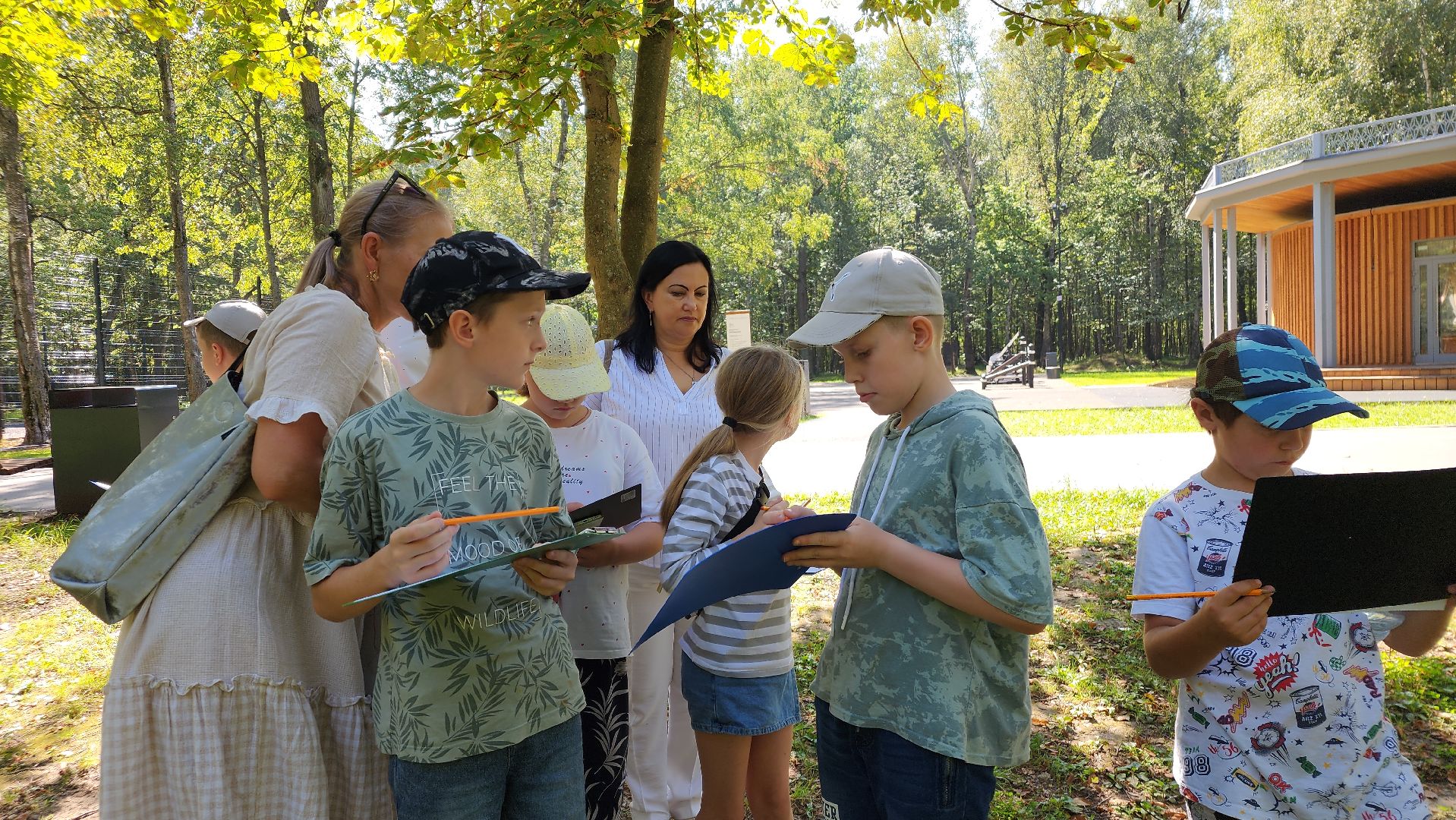 ступино, лето в подмосковье, образование,