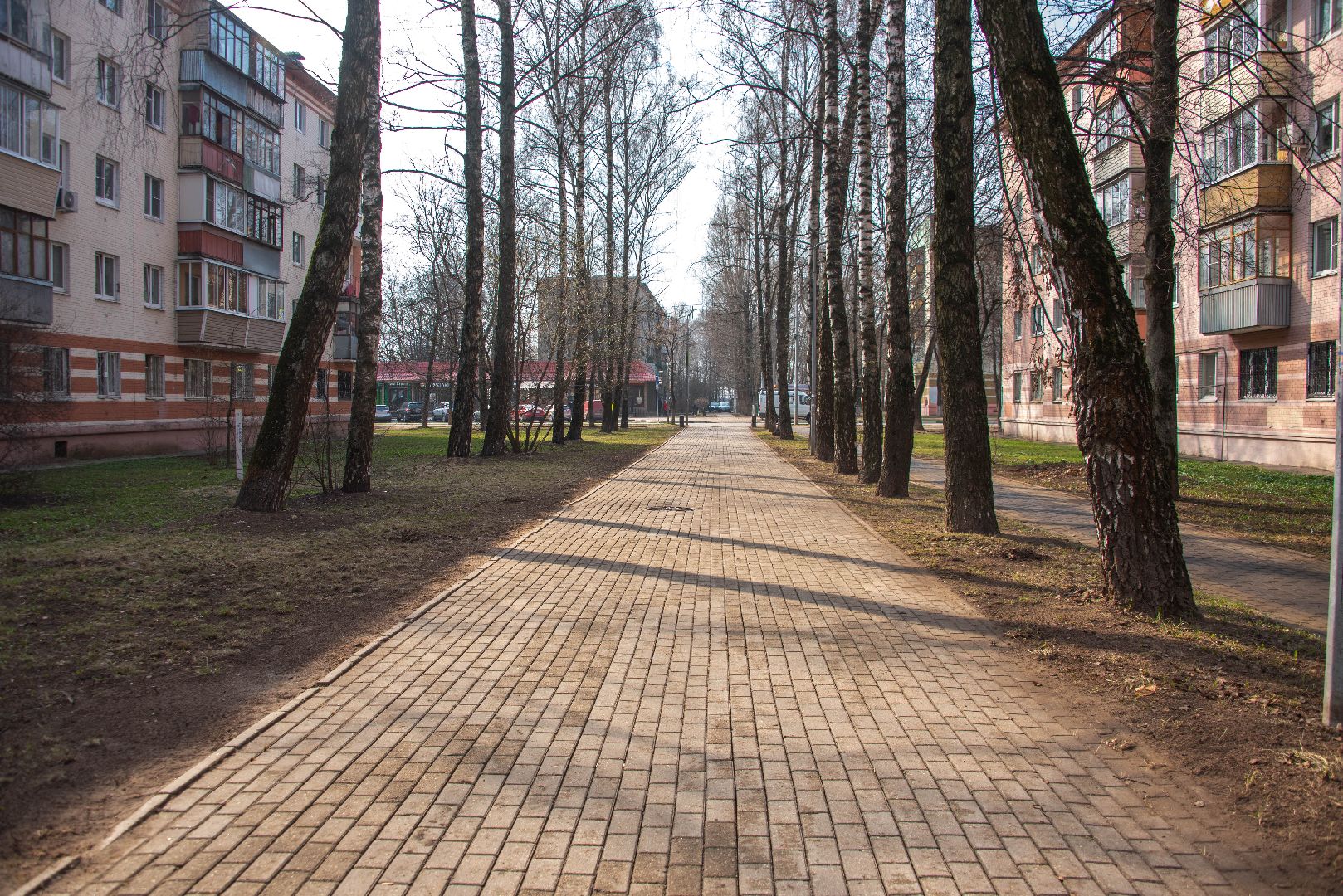 Балашиха, благоустройство, субботники, месяц чистоты и благоустройства, День Победы, озеленение, уборка территорий, высадка цветов и кустарников