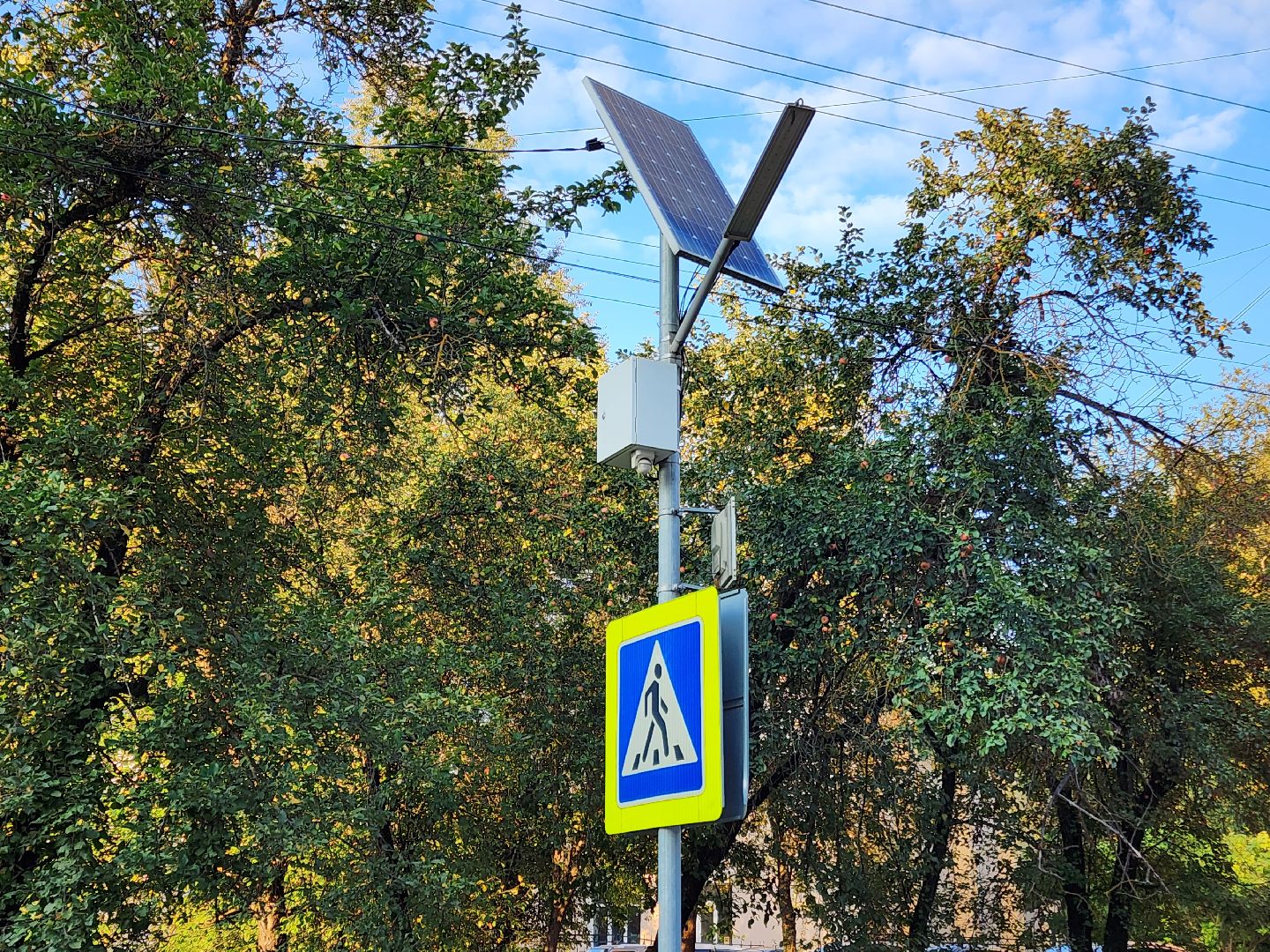 Чехов, школы, гимназии, лицей 4, пешеходные переходы, подготовка, обновление, проверка, требования, стандарты, новый учебный год,