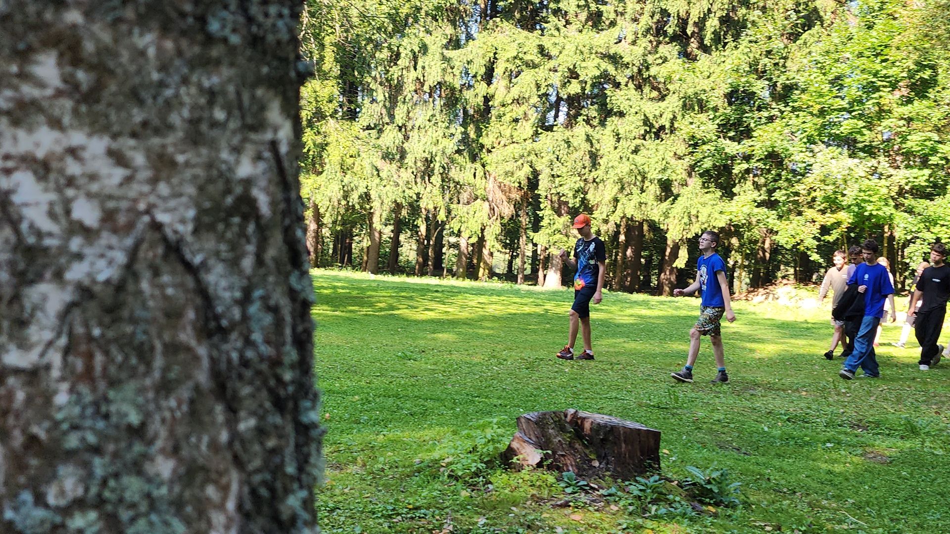 Роспотребнадзор, детский лагерь,Санпросвет, Ногинск, Богородский городской округ,
