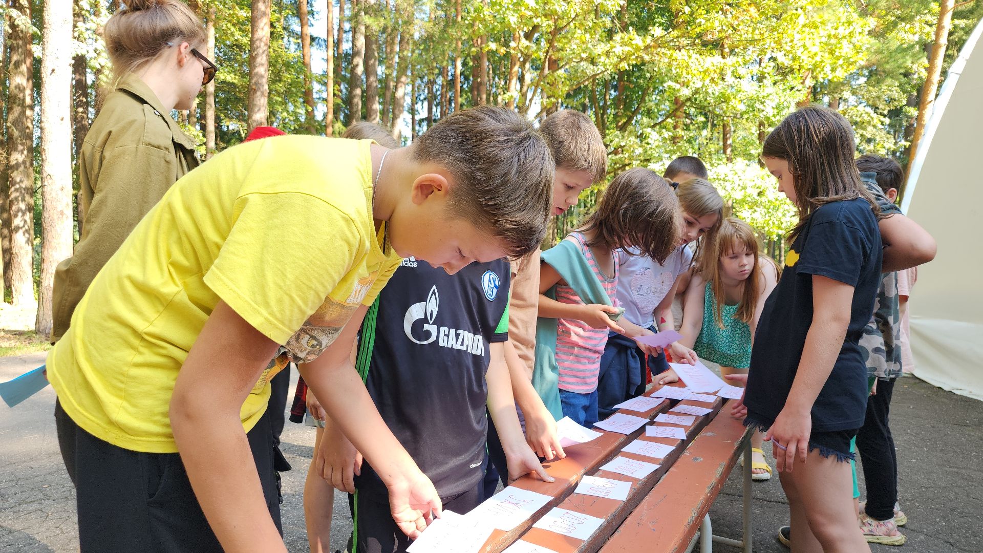 Роспотребнадзор, детский лагерь,Санпросвет, Ногинск, Богородский городской округ,