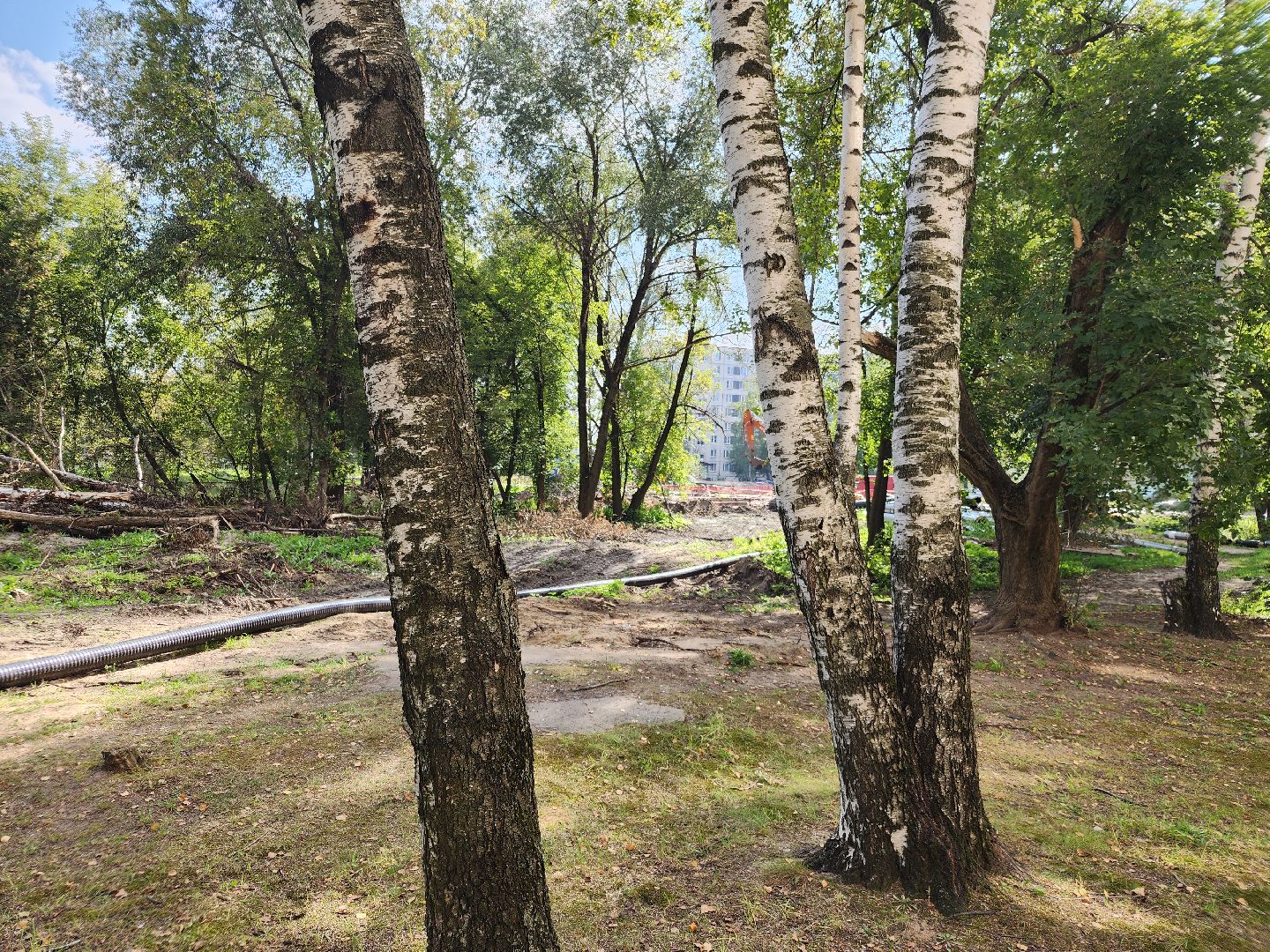 Лиаз парк, благоустройство, ликино-дулево, орехово-зуевский округ,