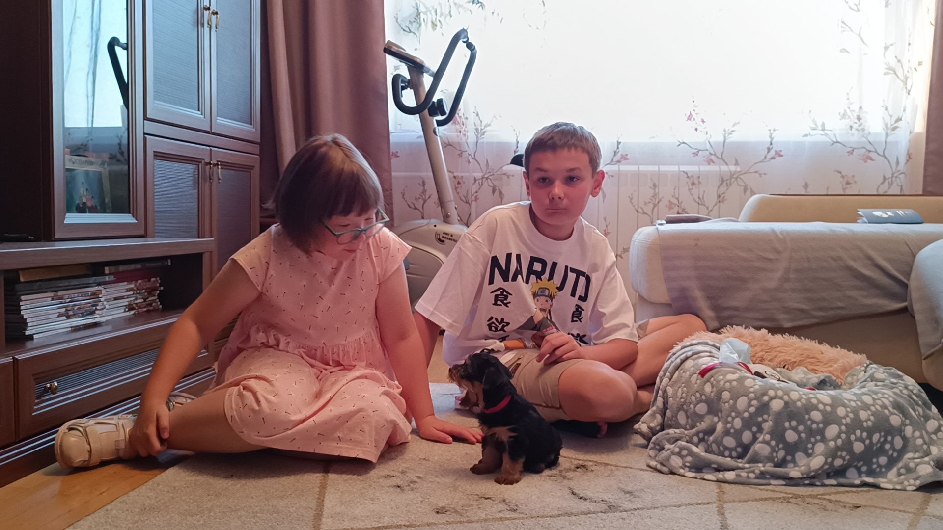 собака, лобня, президент рф,