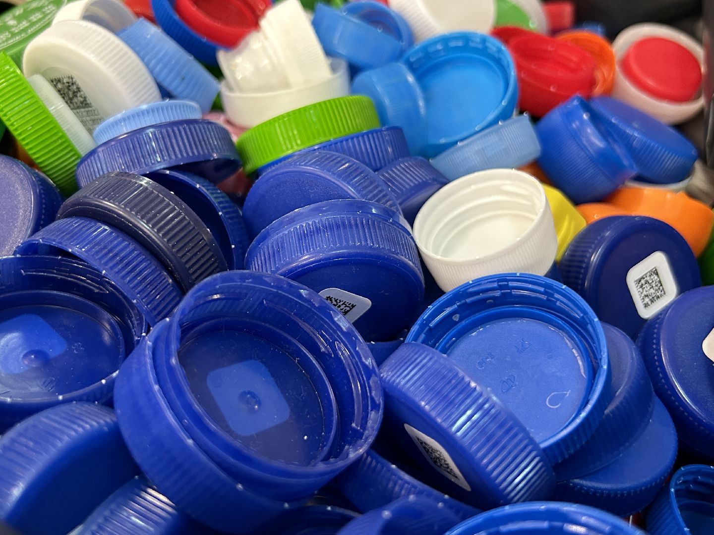 экология, волонтёры, благотворительность, Фрязино, вторсырье, переработка, помощь