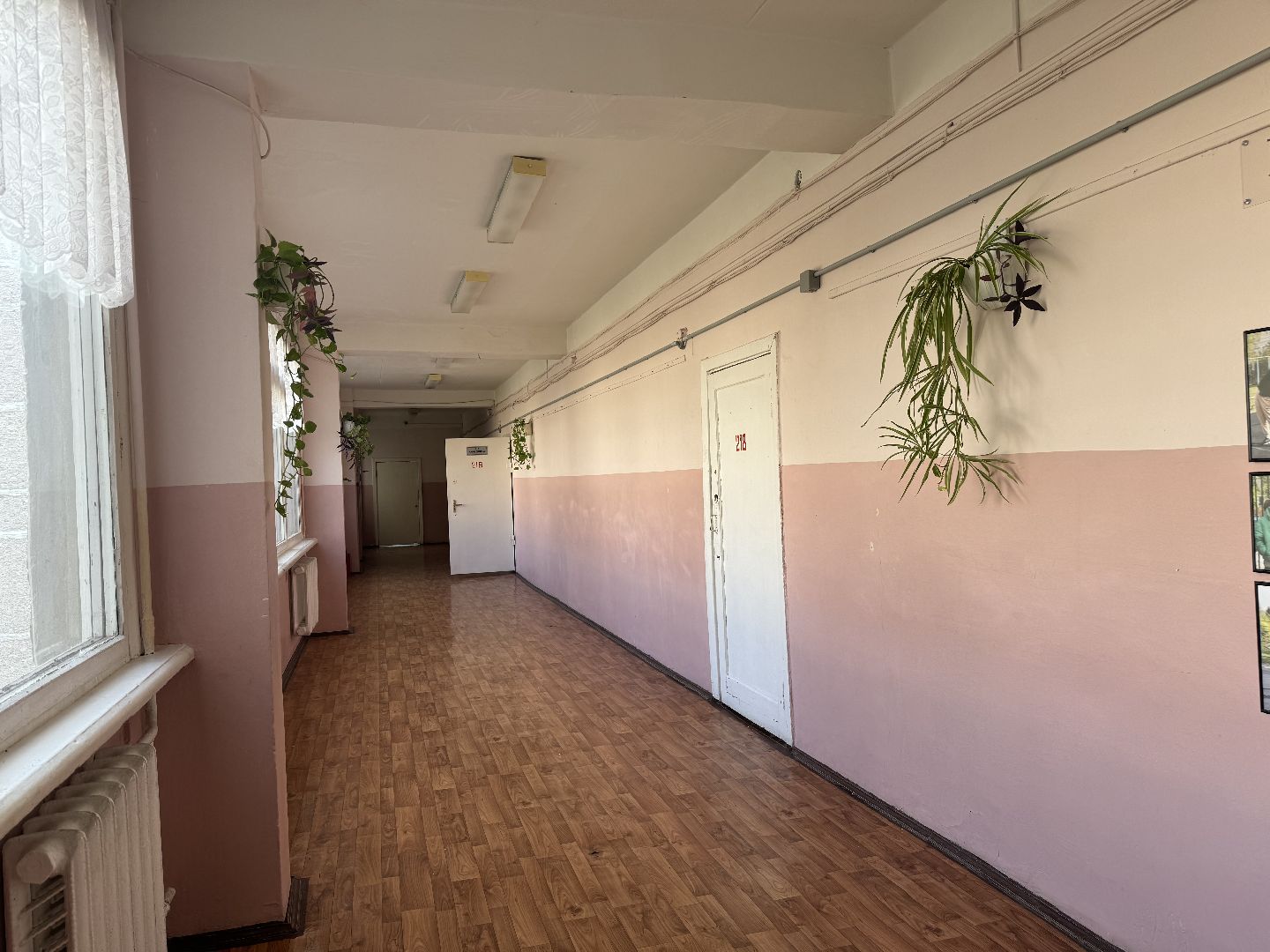 фрязино, гимназия,