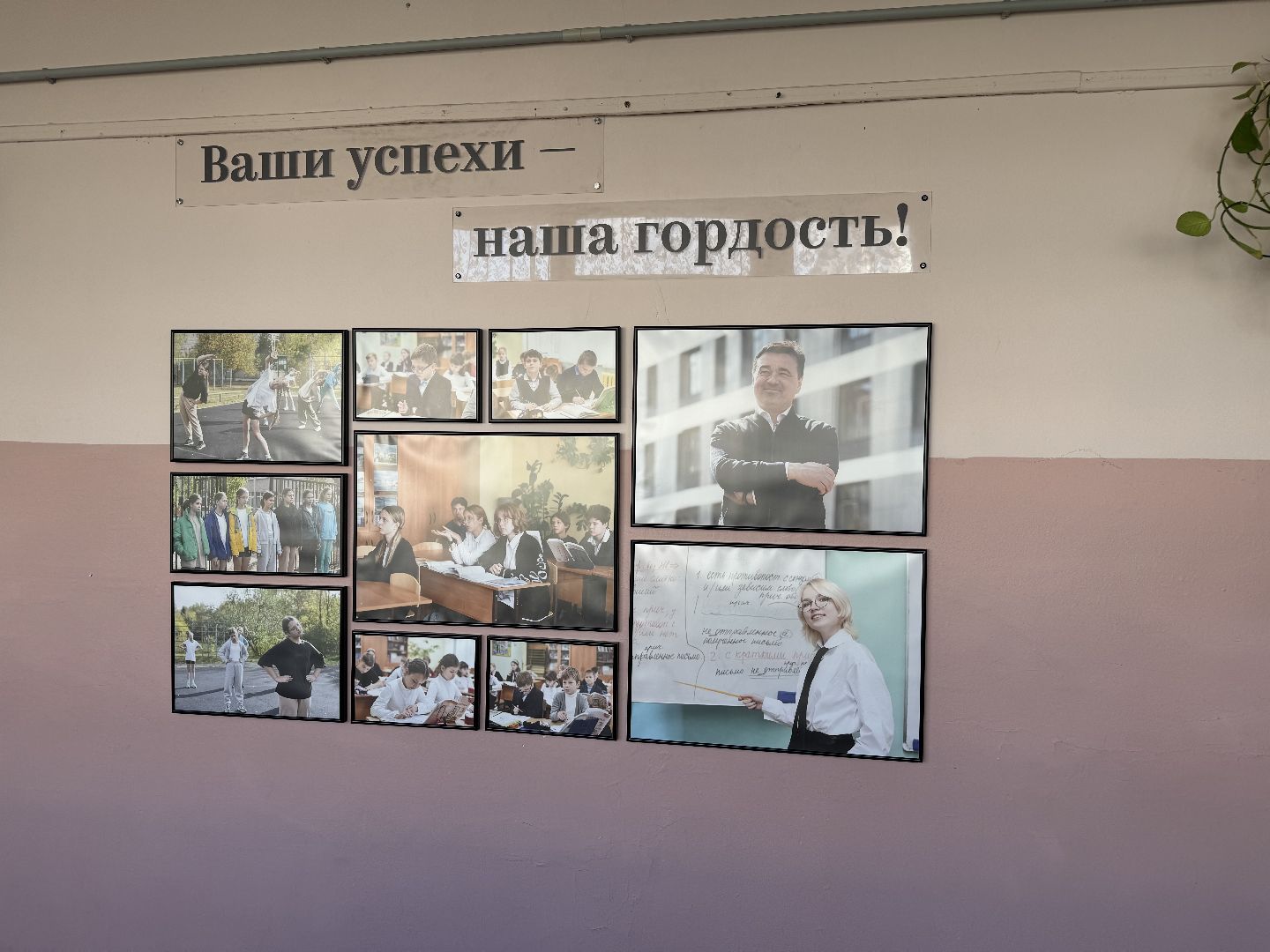 фрязино, гимназия,