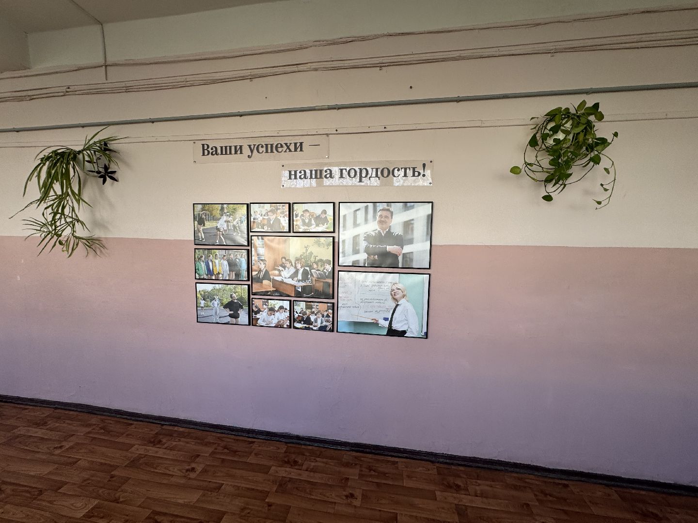 фрязино, гимназия,