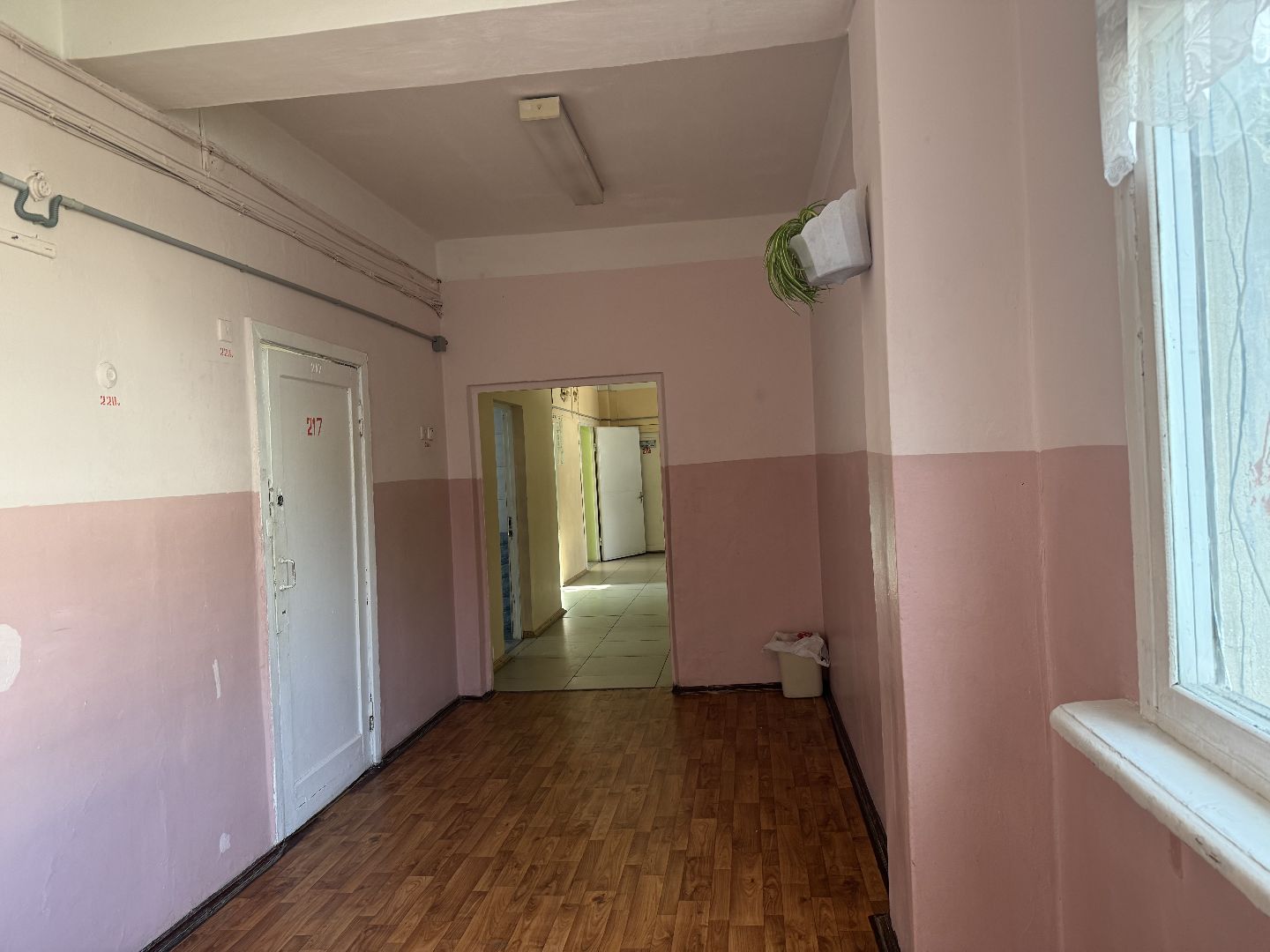 фрязино, гимназия,