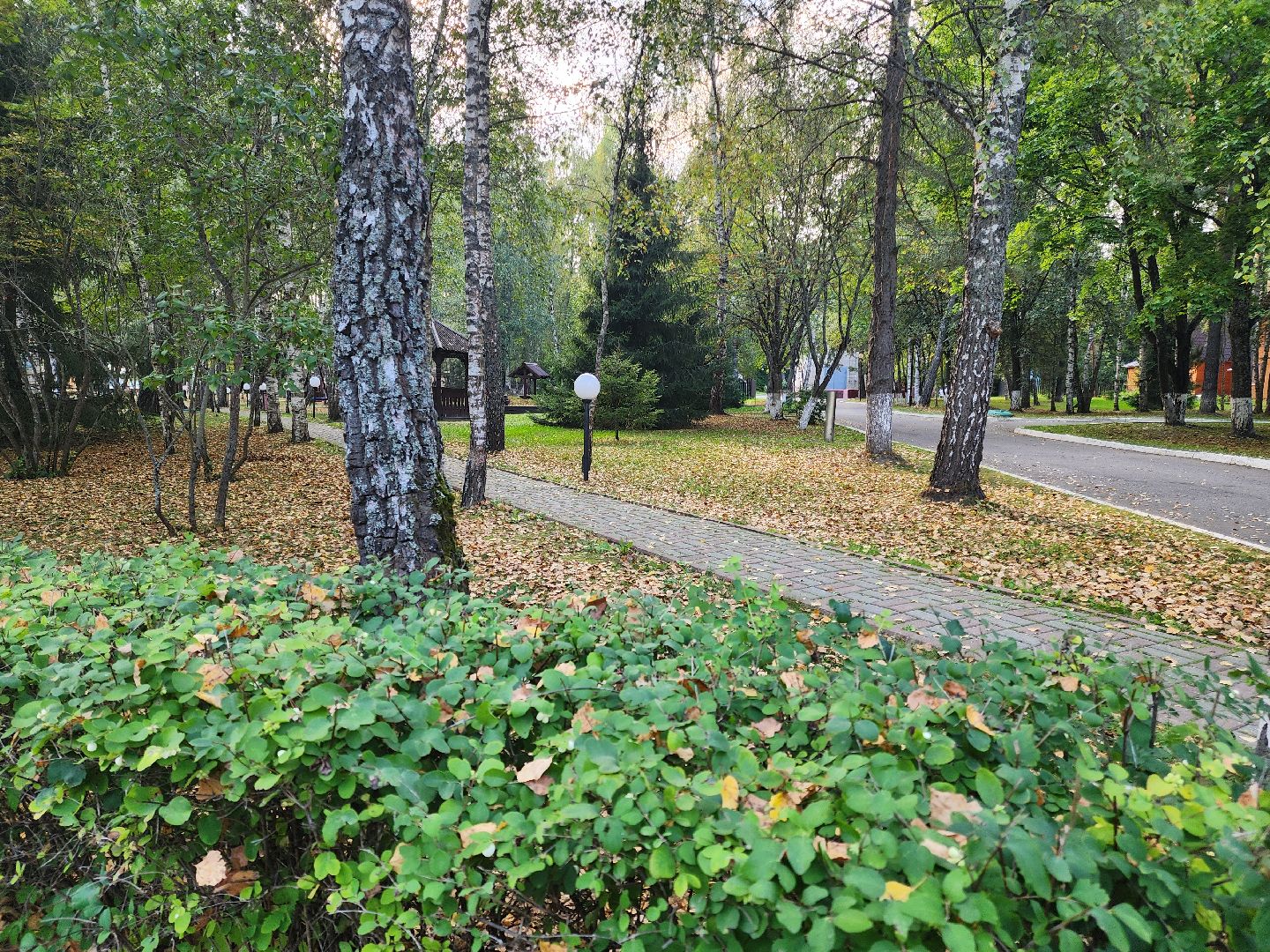 Подольск, ПВР, Покб, главный врач, гуманитаная помощь, Бытовая техника,