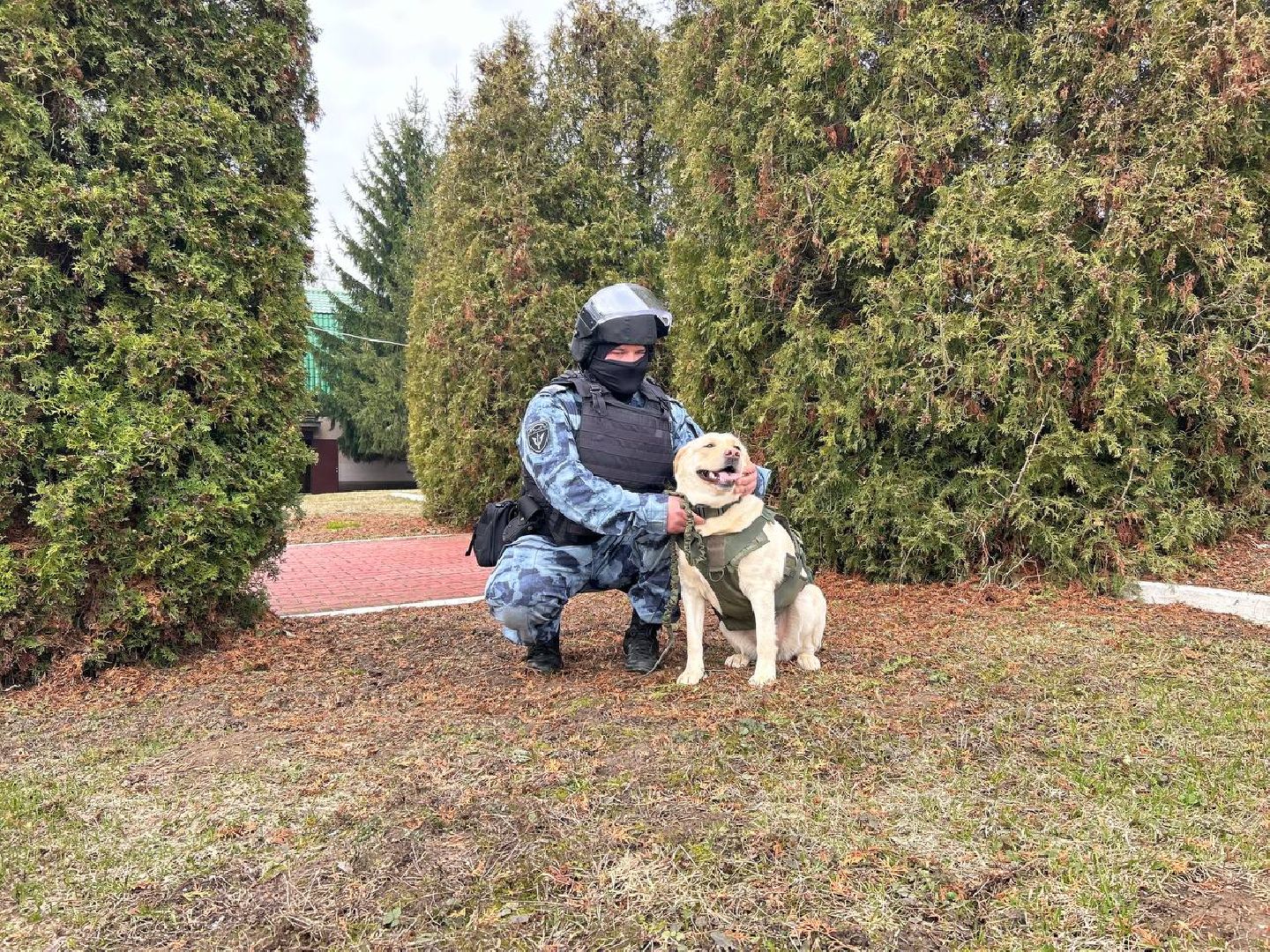 Подольск, омон, кинологи, служба, собаки