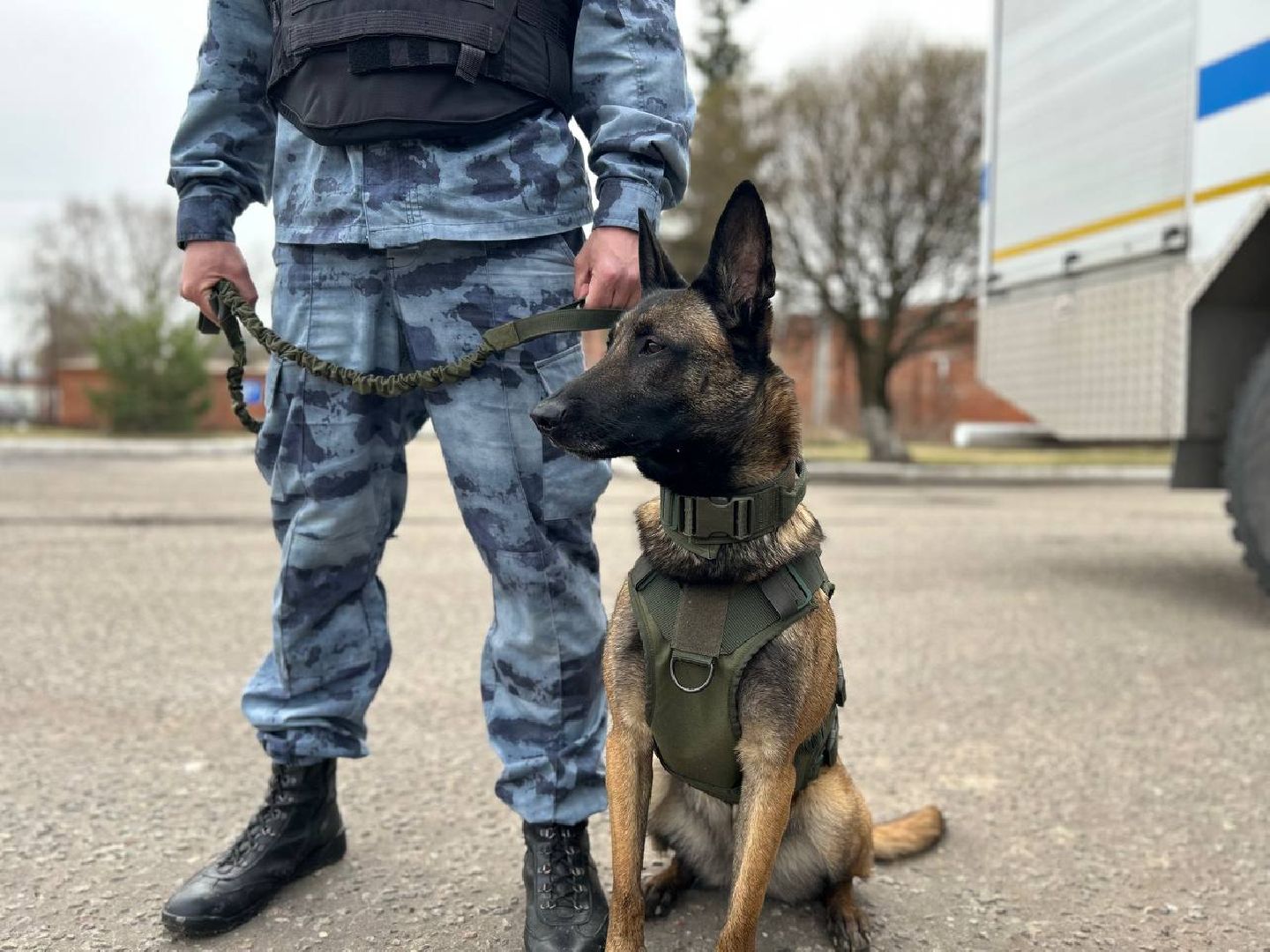 Подольск, омон, кинологи, служба, собаки