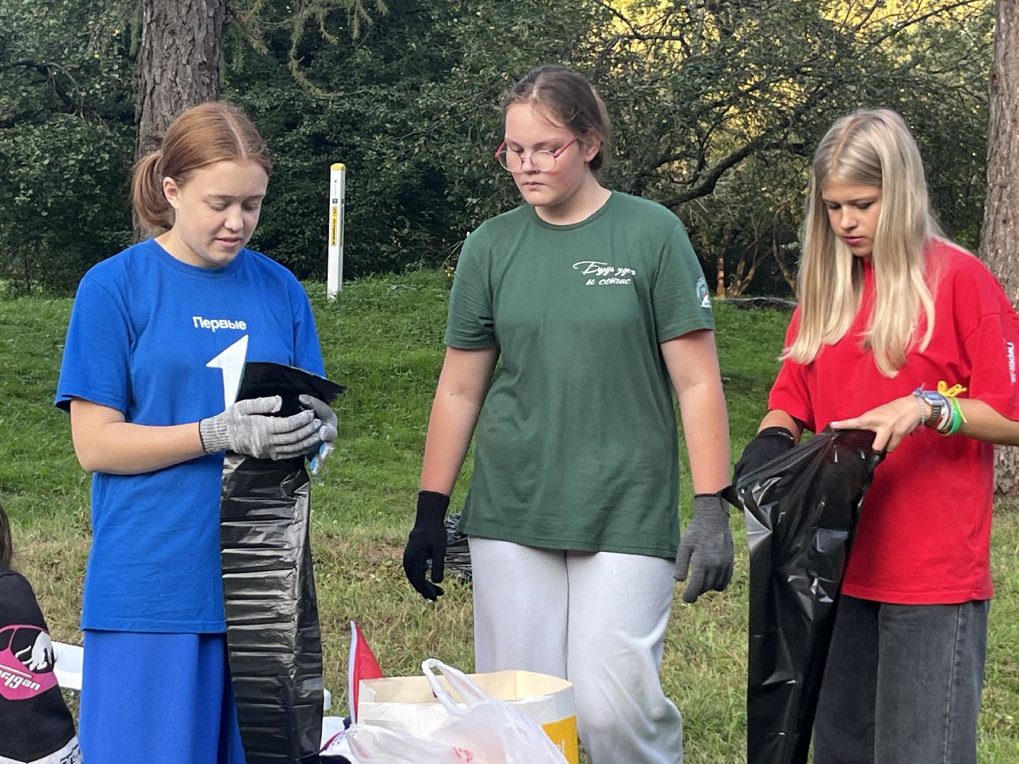 наро-фоминск, субботник, экологическая акция, клевое место, молодежный центр наро-фоминск,