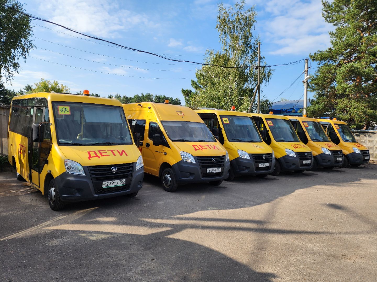 Чехов, школьные автобусы, приемка, проверка, техосмотр, техническое обслуживание, маршруты, подвоз школьников, начальник управления образования Ирина Заболотнева, глава округа Михаил Собакин,