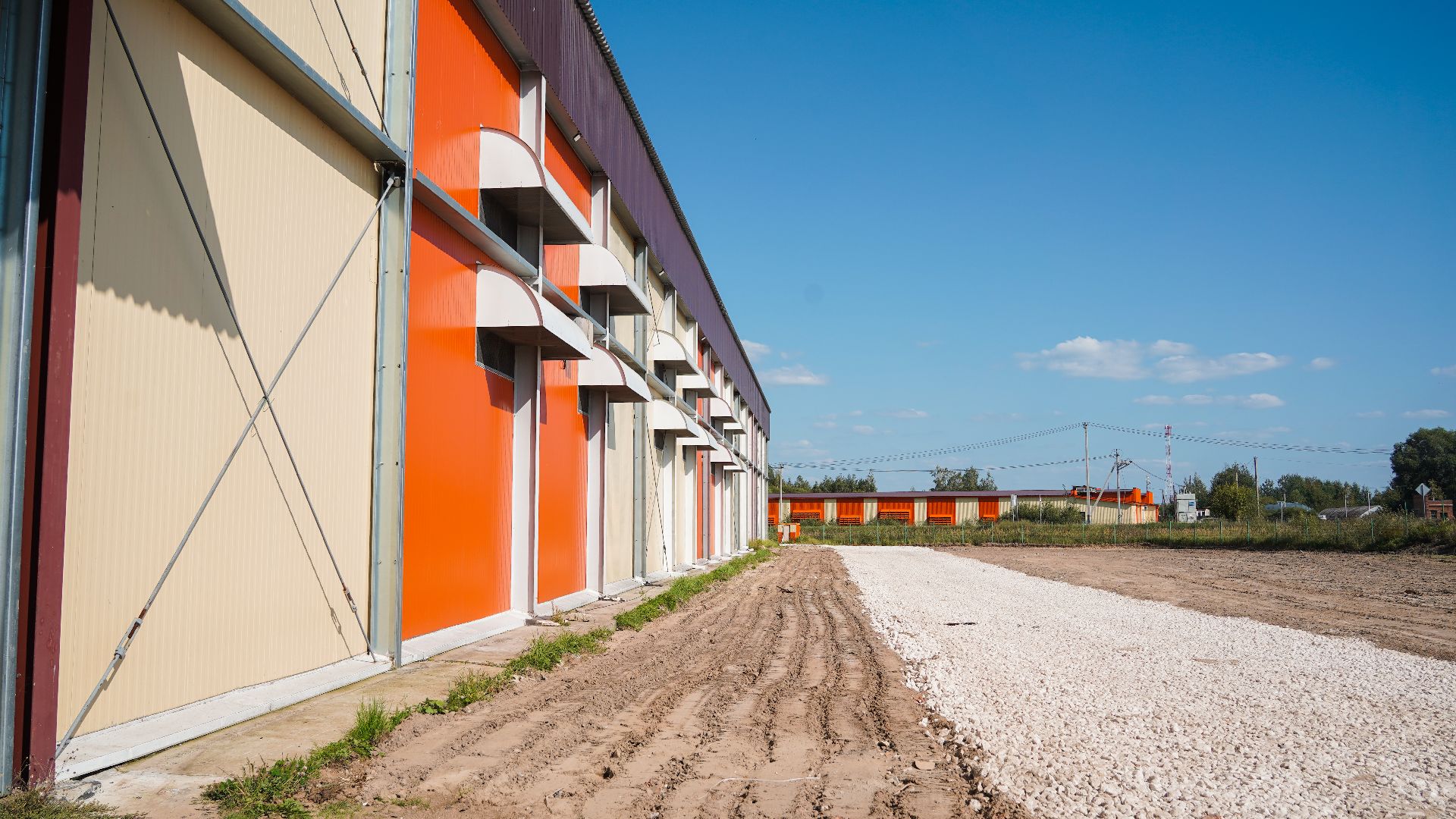 Лека-фри, картофель фри, производство, Большая Шатура,