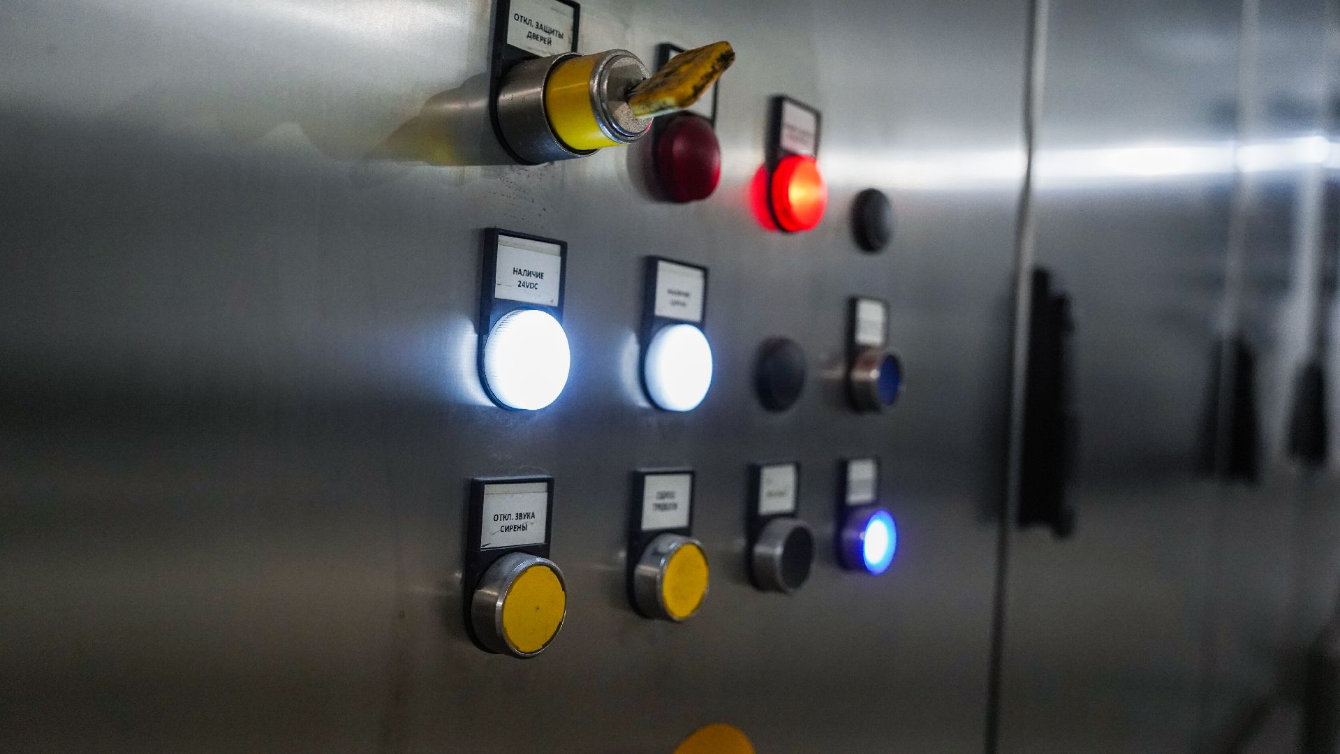 Лека-фри, картофель фри, производство, Большая Шатура,