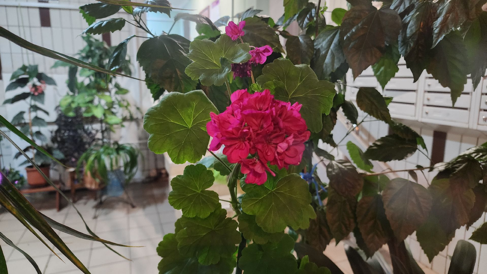 Реутов, Видное, Ленинские городской округ, выездная администрация, вопросы главе, Станислав Каторов, ЖКХ, образование,