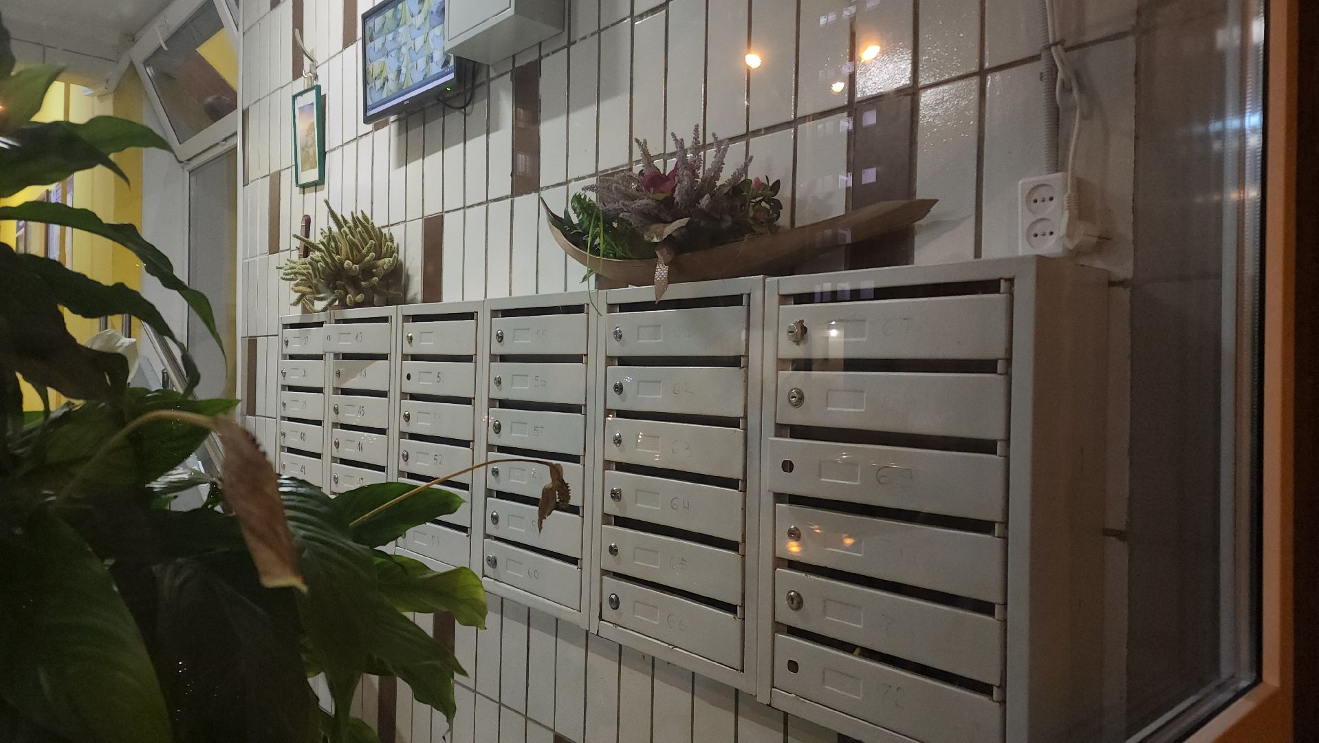 Реутов, Видное, Ленинские городской округ, выездная администрация, вопросы главе, Станислав Каторов, ЖКХ, образование,