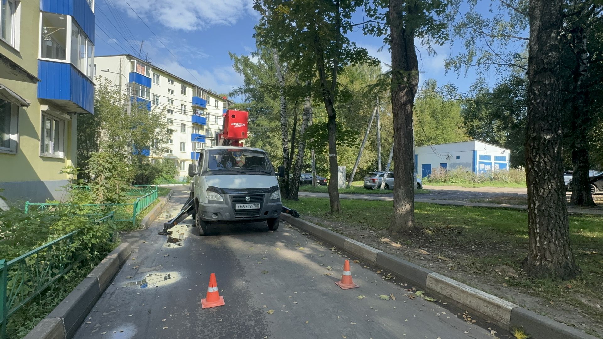 Солнечногорск, опиловка деревьев, рабочие, Жители, сухие деревья,