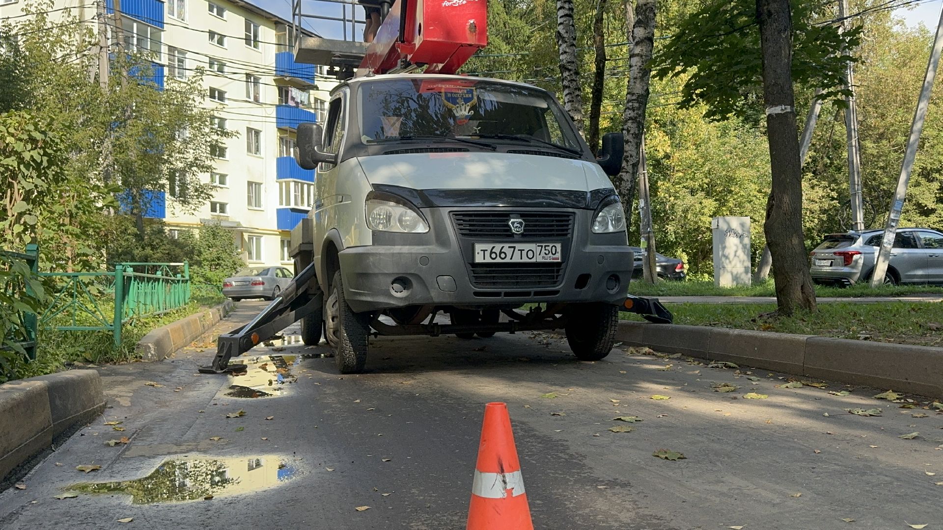 Солнечногорск, опиловка деревьев, рабочие, Жители, сухие деревья,