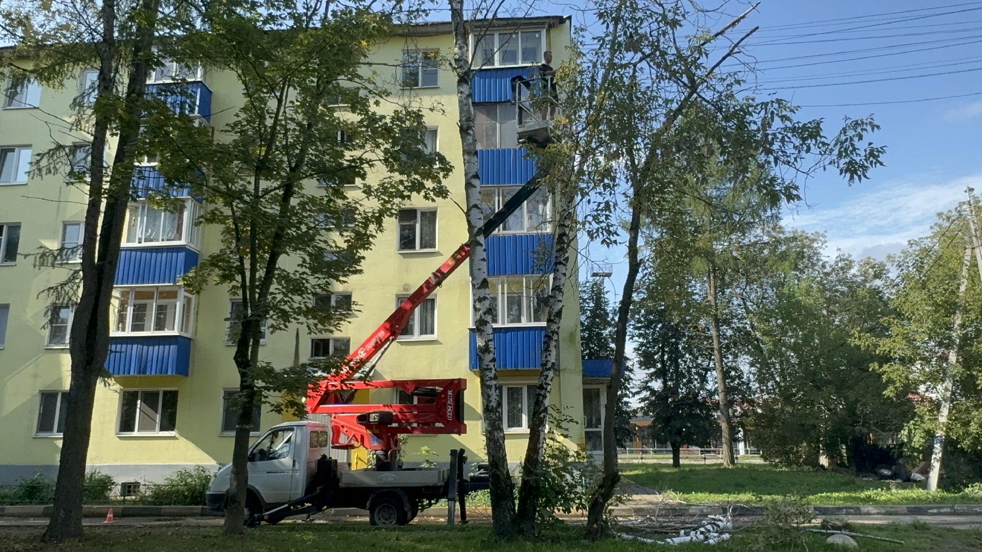 Солнечногорск, опиловка деревьев, рабочие, Жители, сухие деревья,
