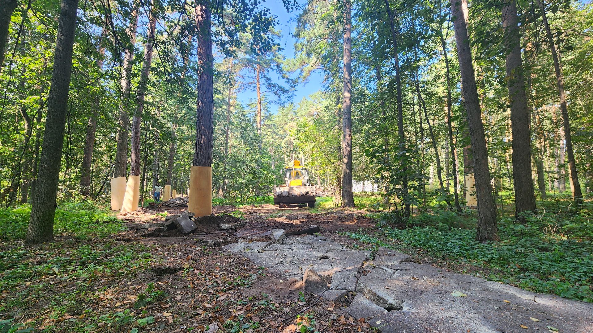 протвино, сказка, лес, зеленые насаждения, экология,